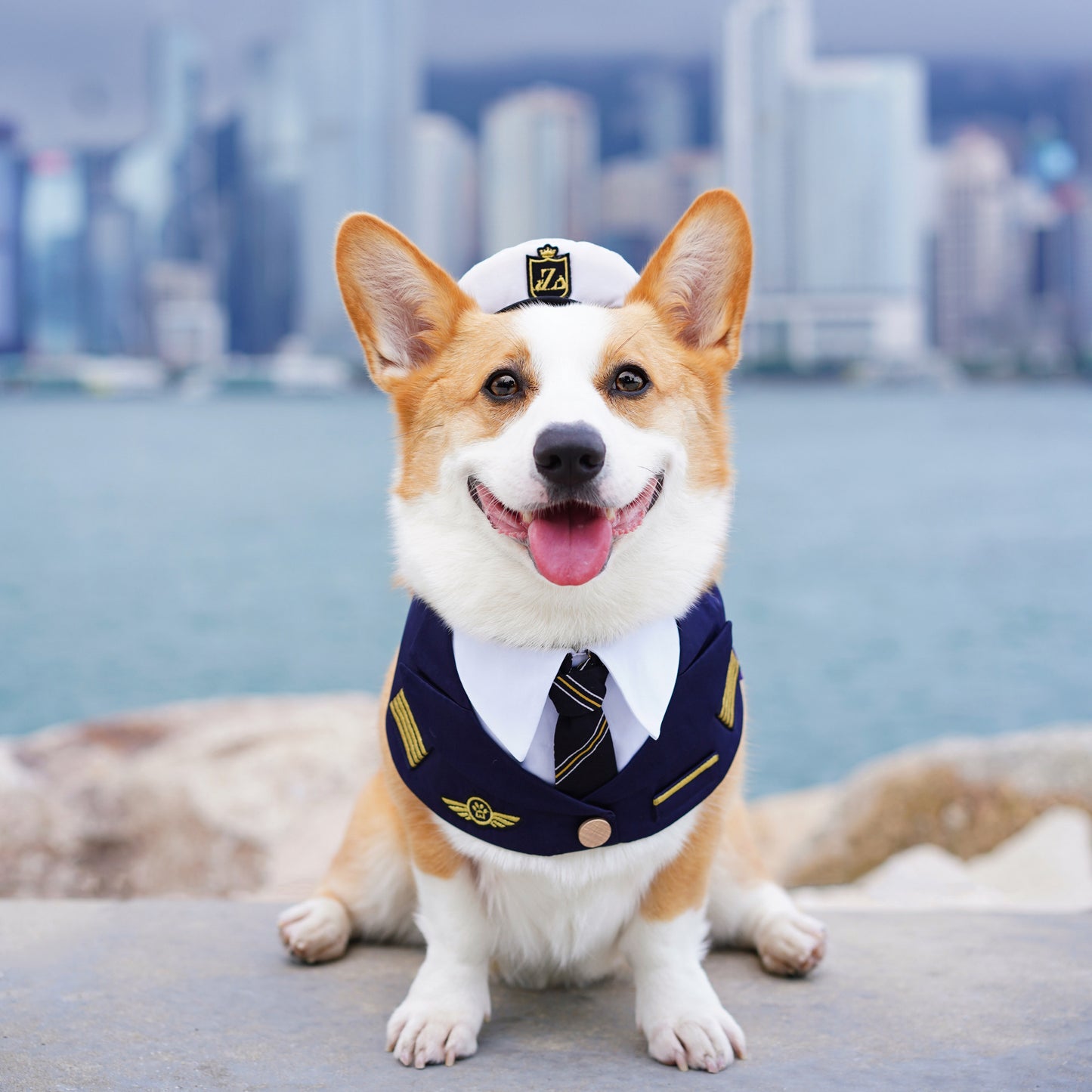 MOMOJI AIR | PILOT