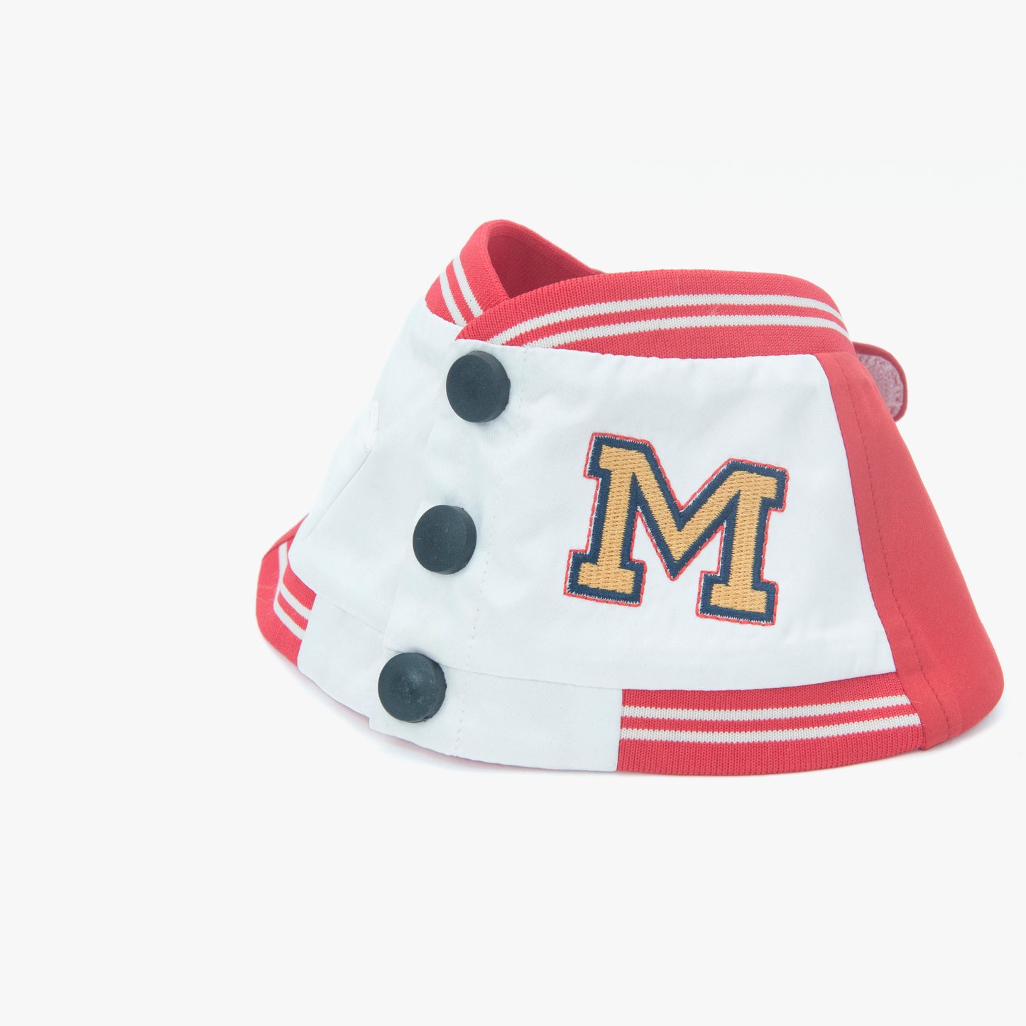 Basepaws Pet Bib