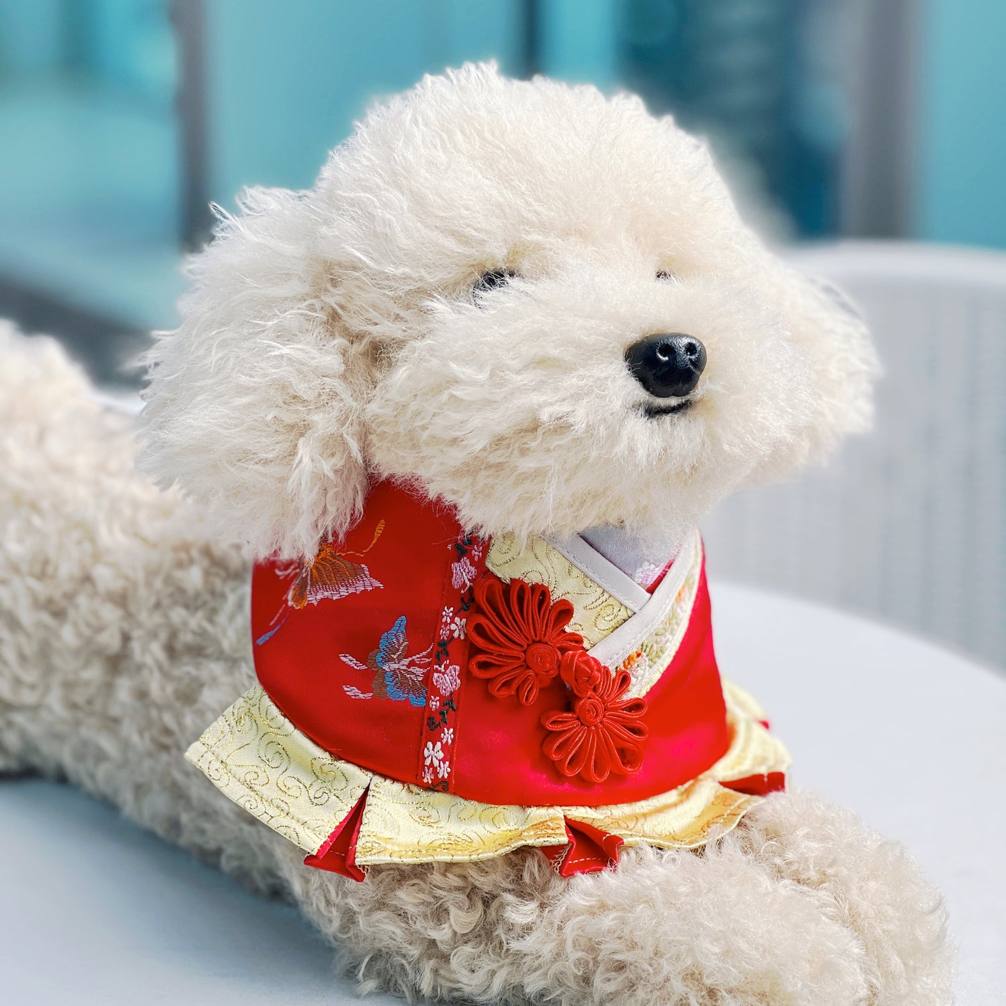 GENTLE Pet CNY Bib