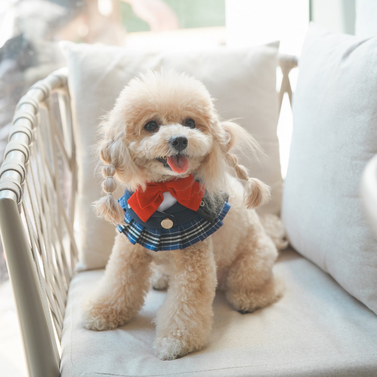 Morrison Hill · Girls Pet Bib