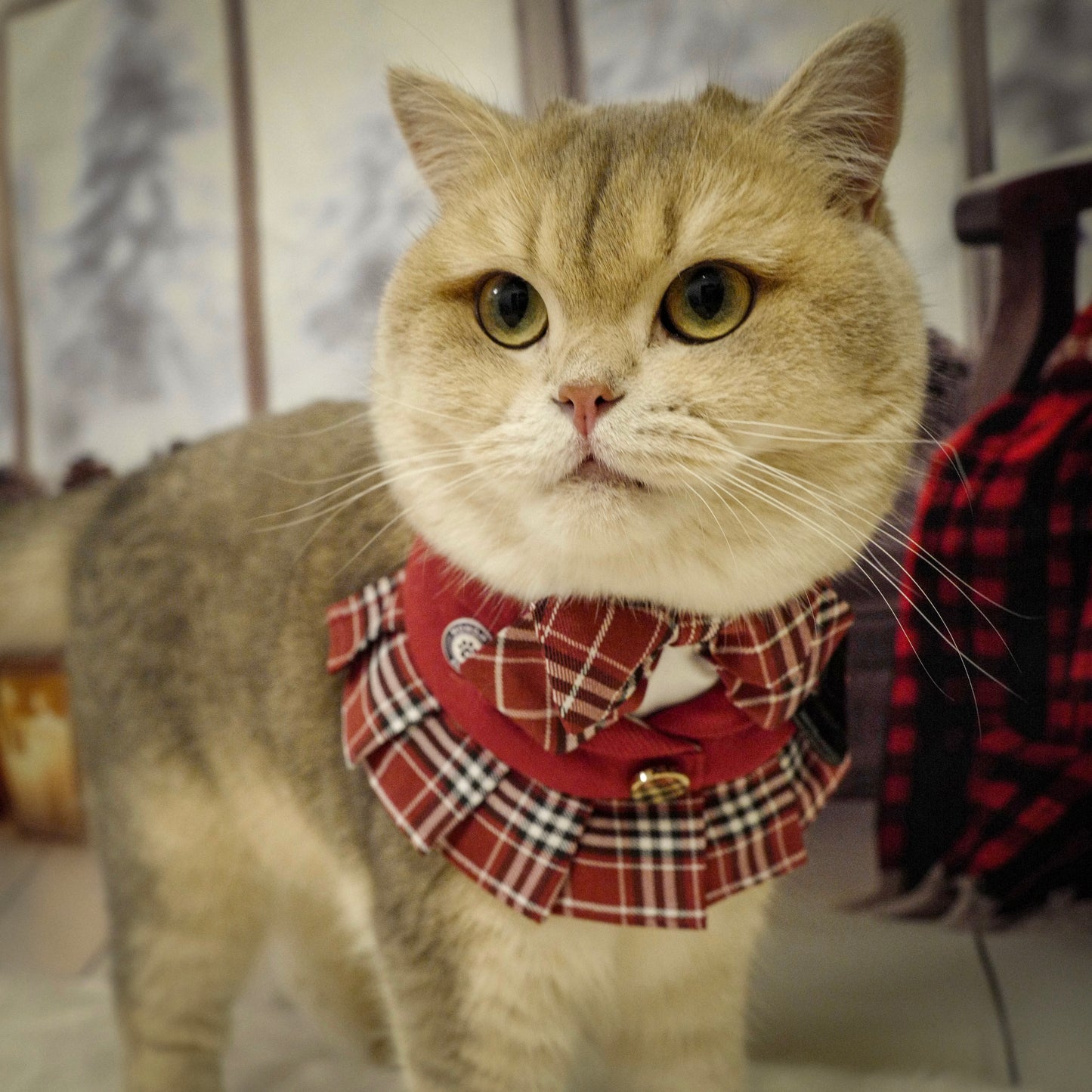 Morrison Hill · Girls Pet Bib