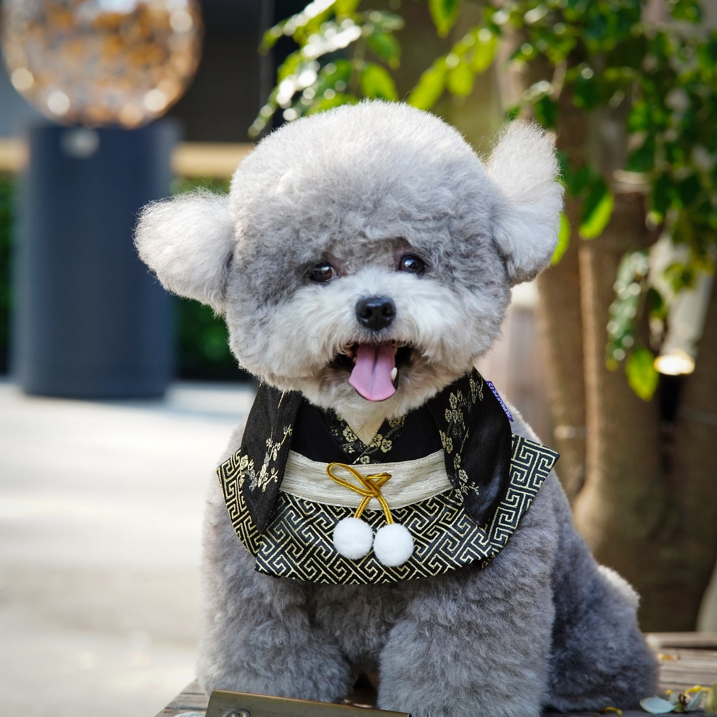 Meguro | Pet Bib