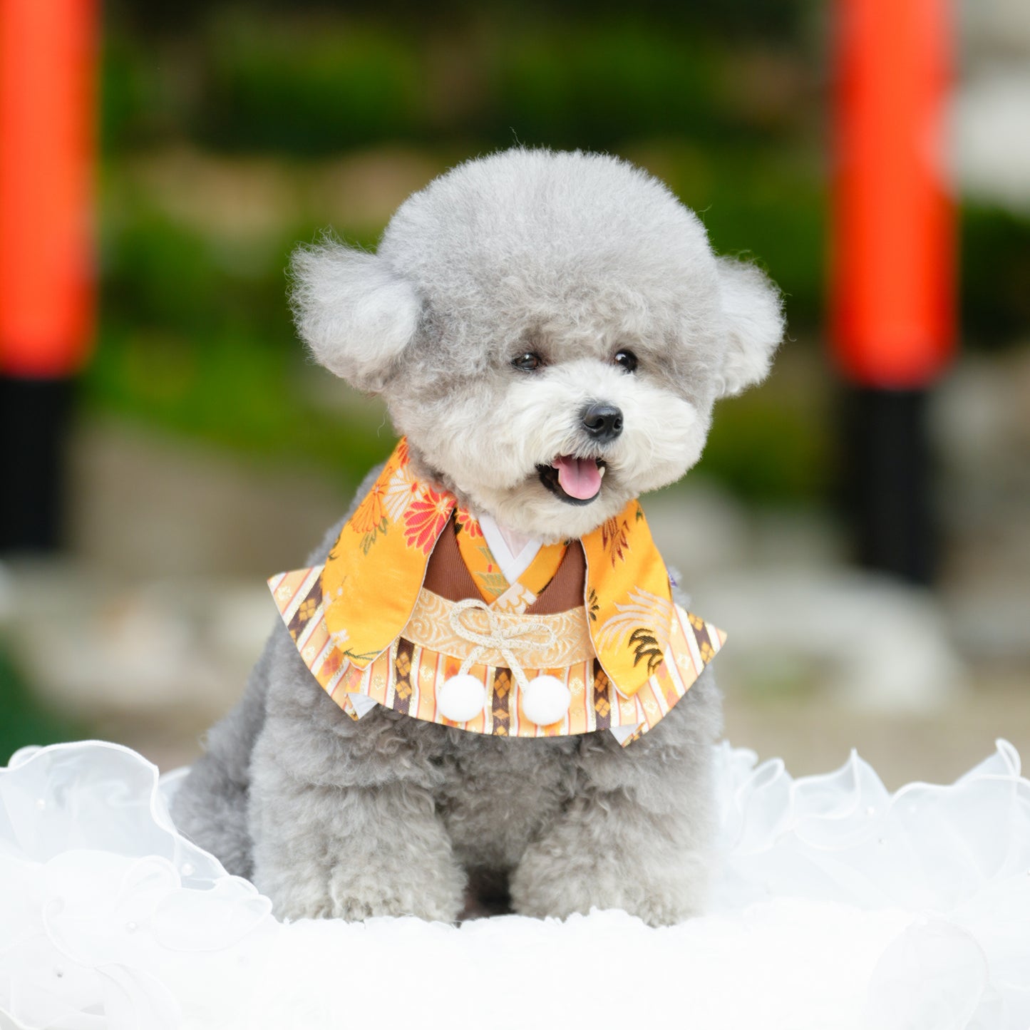 Meguro | Pet Bib