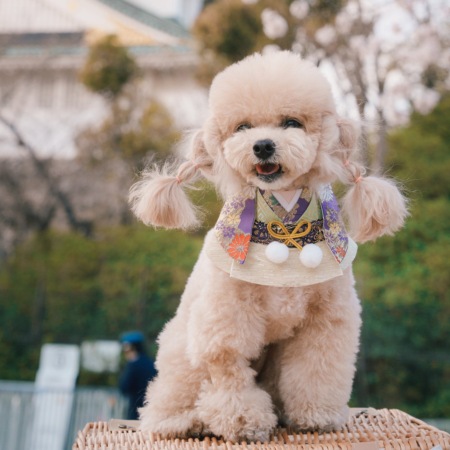 Meguro | Pet Bib