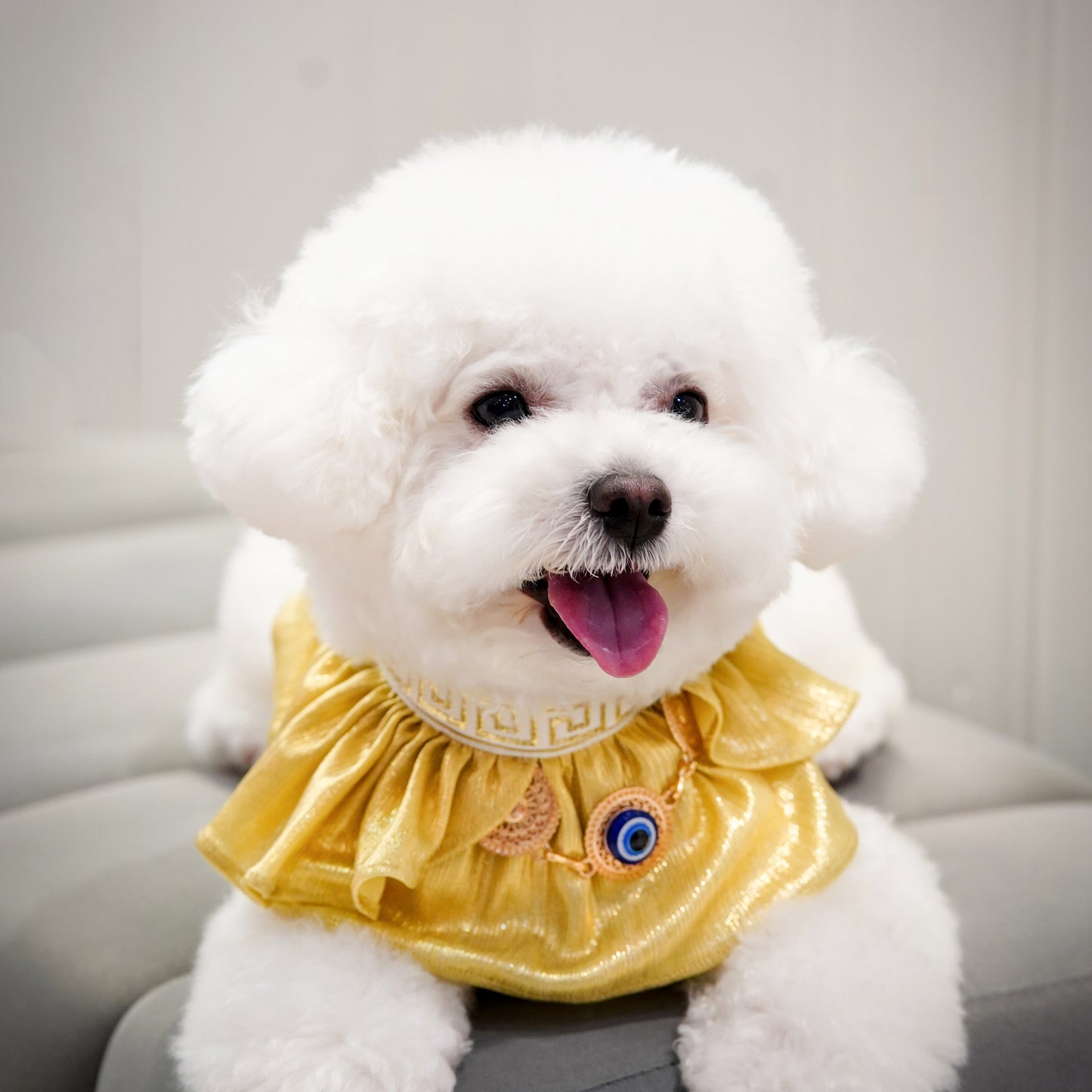 Athena | Pet Bib
