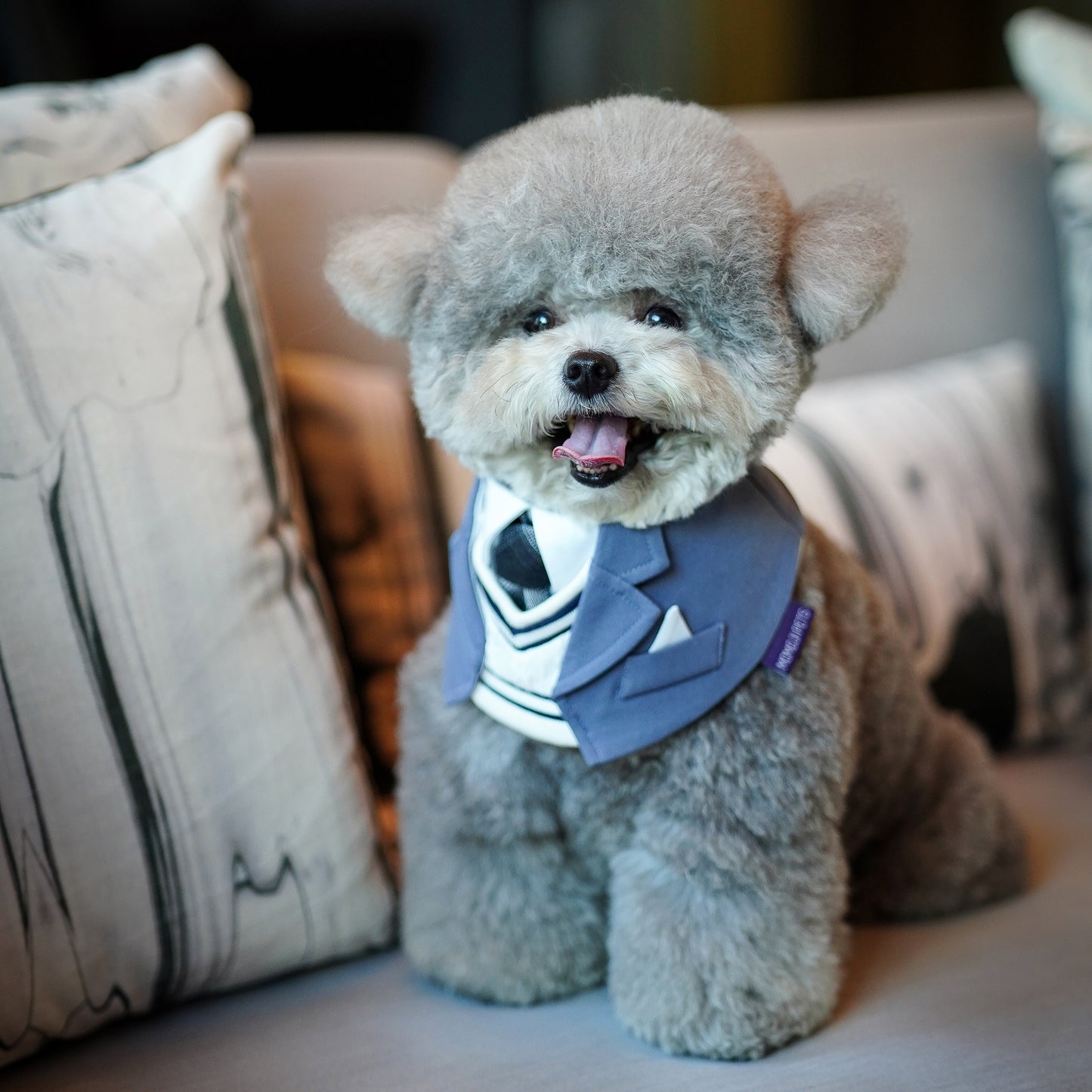 Joseph | Pet Bib
