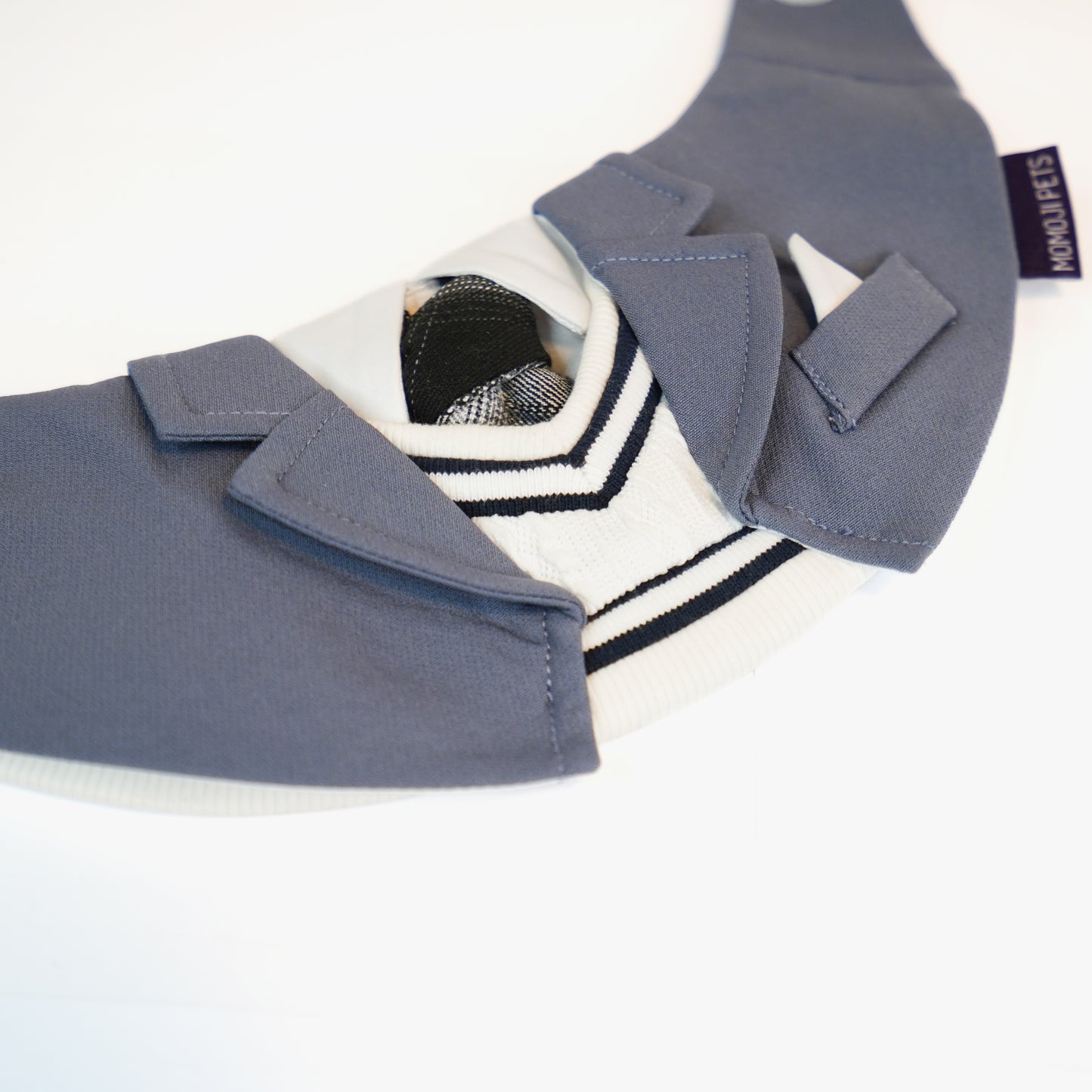 Joseph | Pet Bib