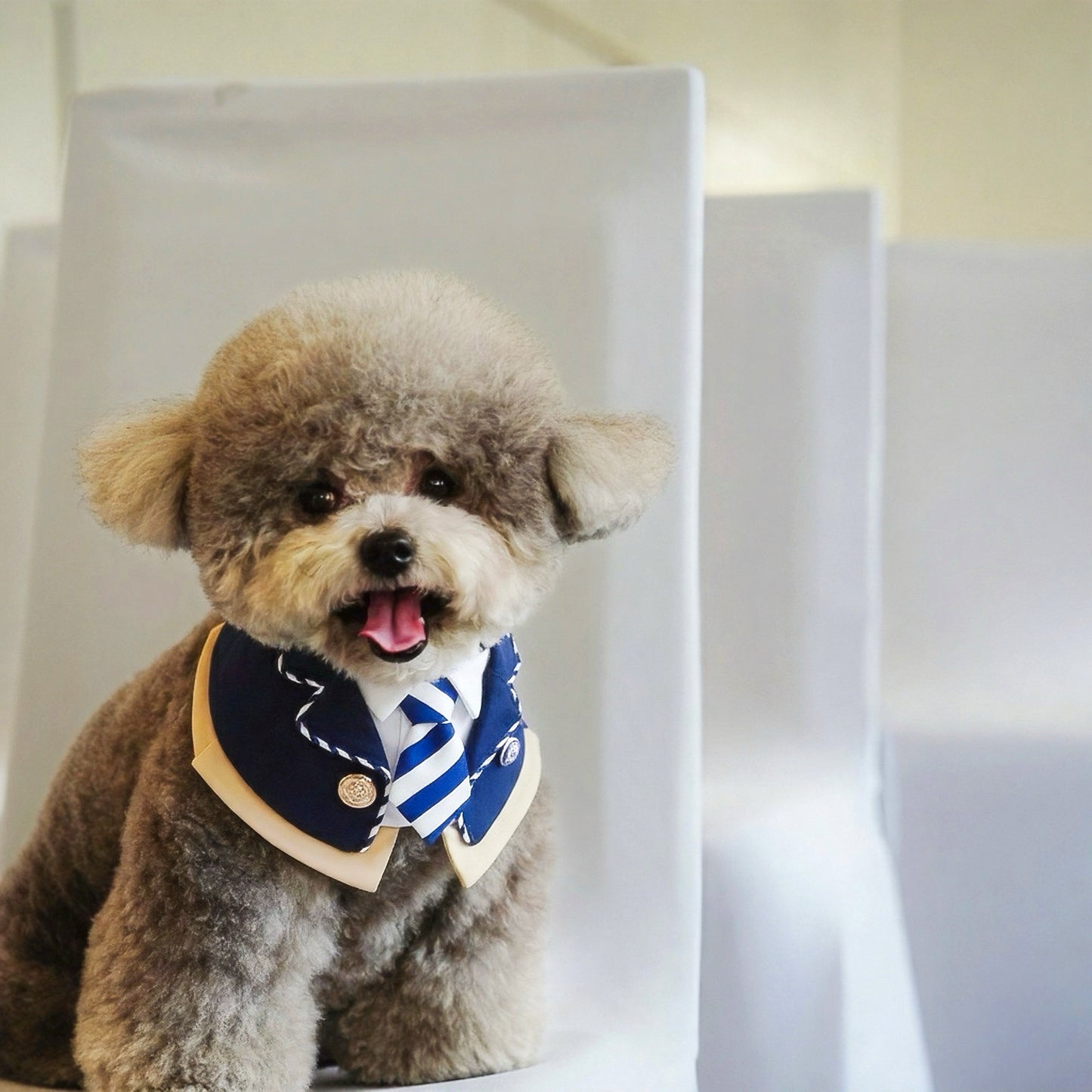 The Hairs Boy | Pet Uniform Bib