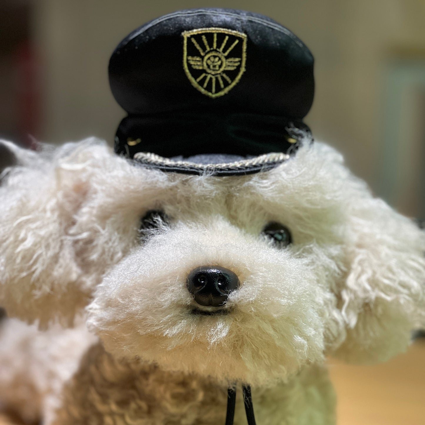 MOMOJI AIR PILOT Cap