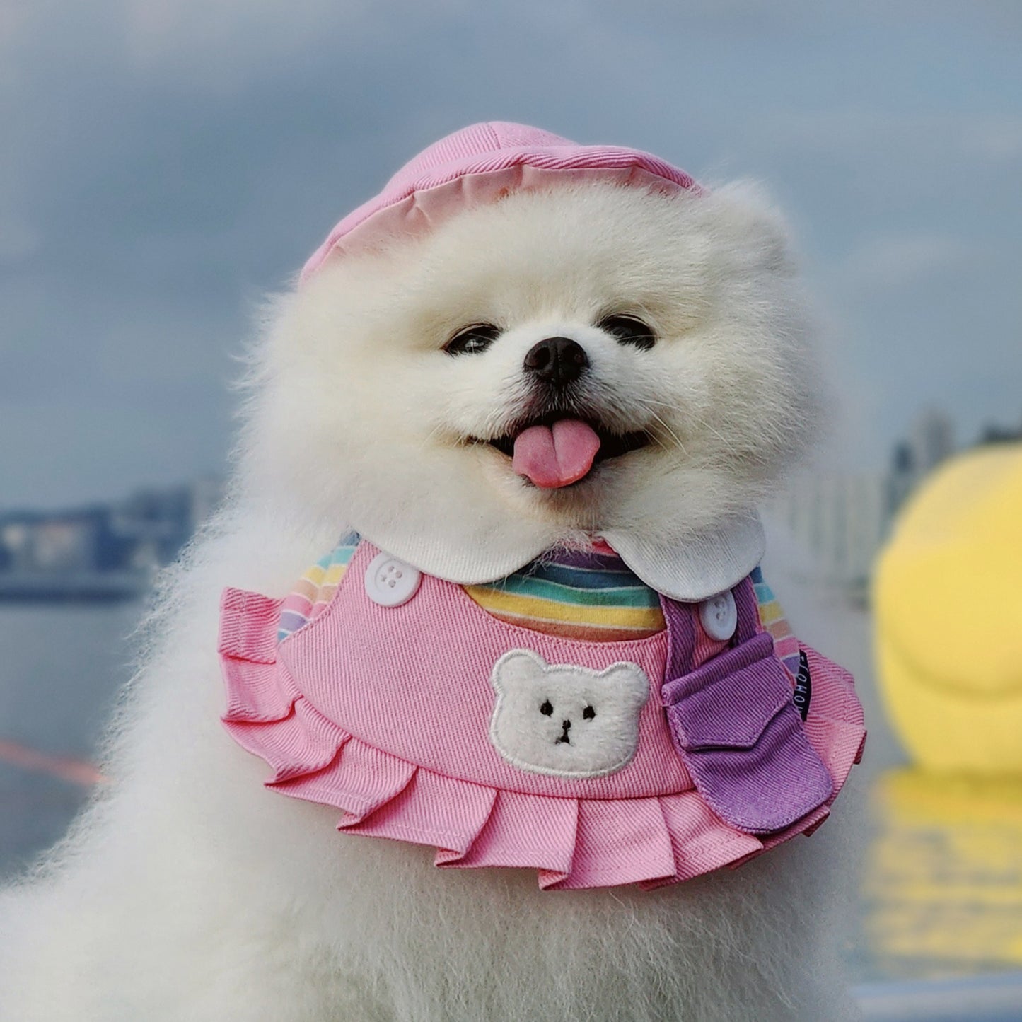 BEAR Pet Cap