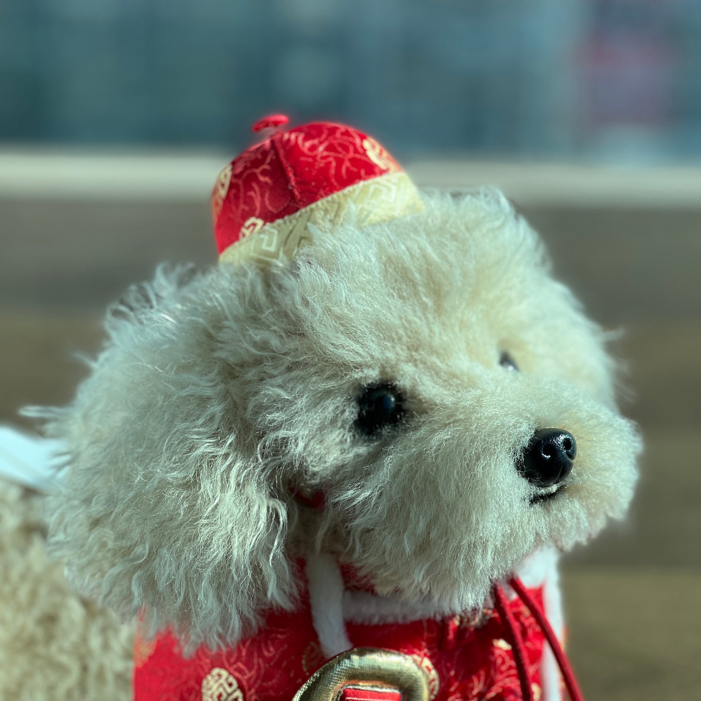 CHEERS Pet CNY Hat