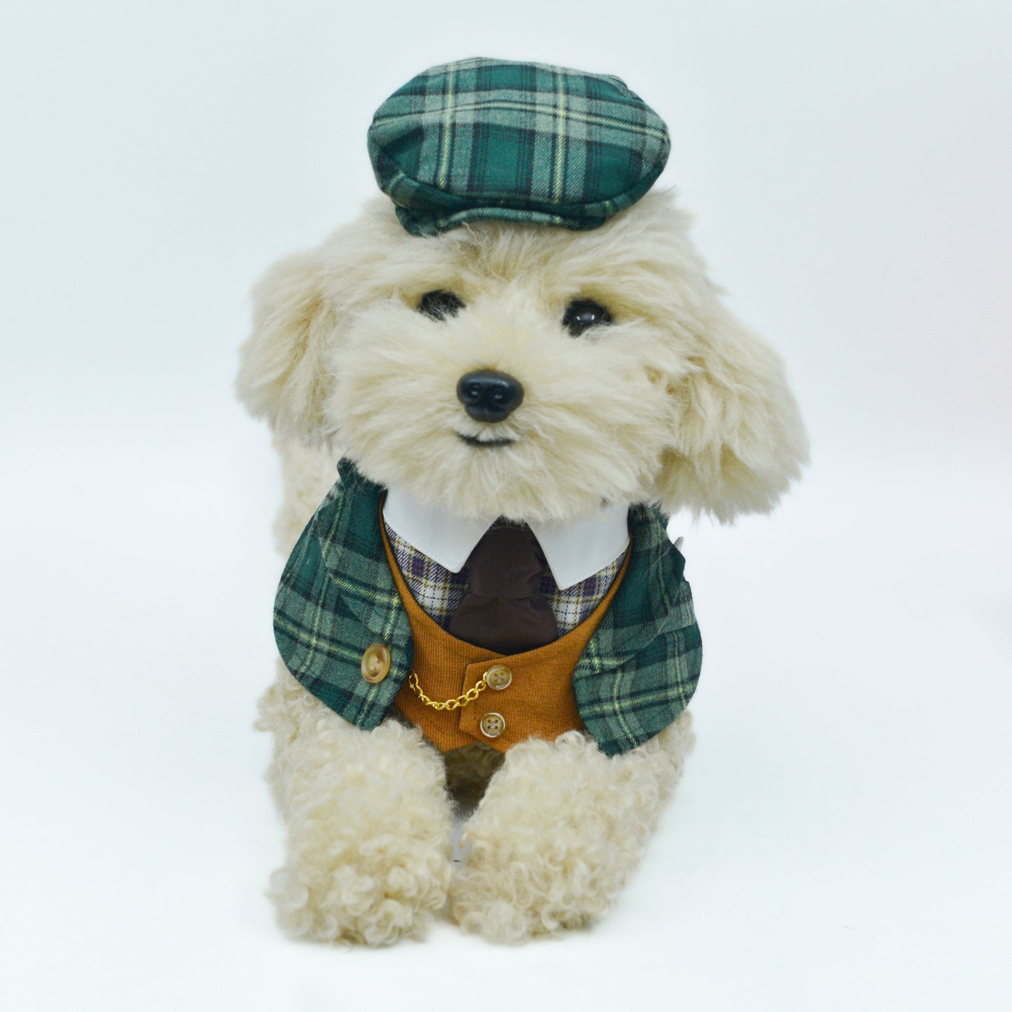 Charles | Pet Hat