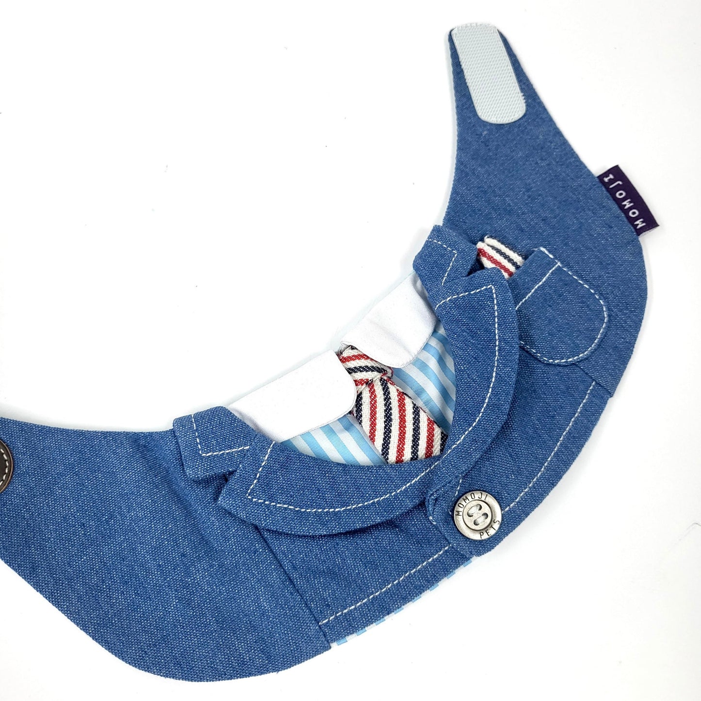 Wellington | Pet Neckwear