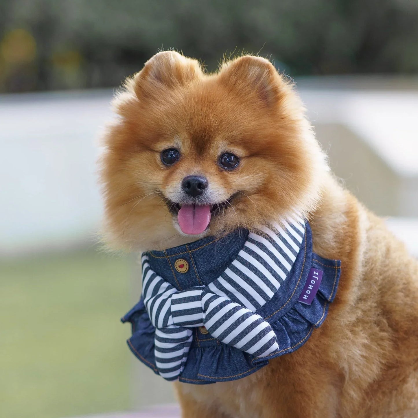 Michelle | Pet Neckwear