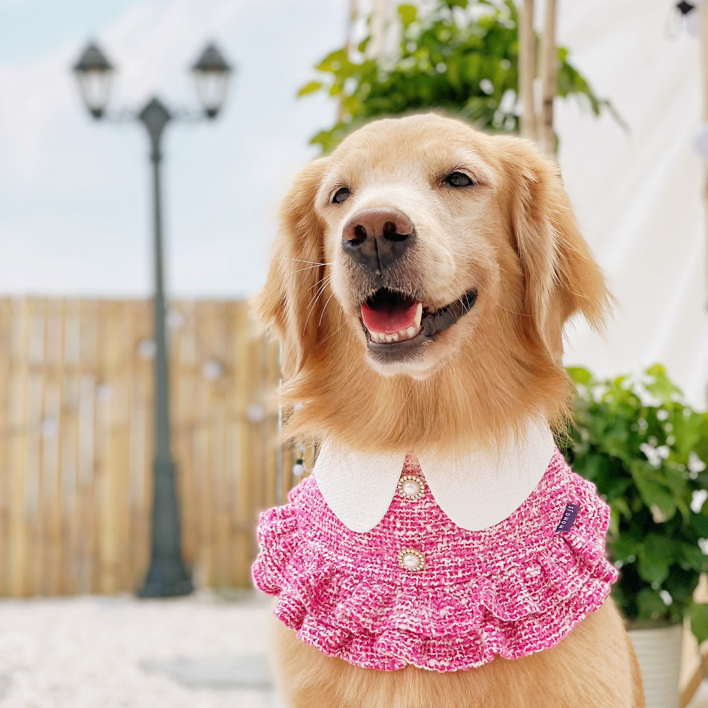 Kristen | Pet Bib