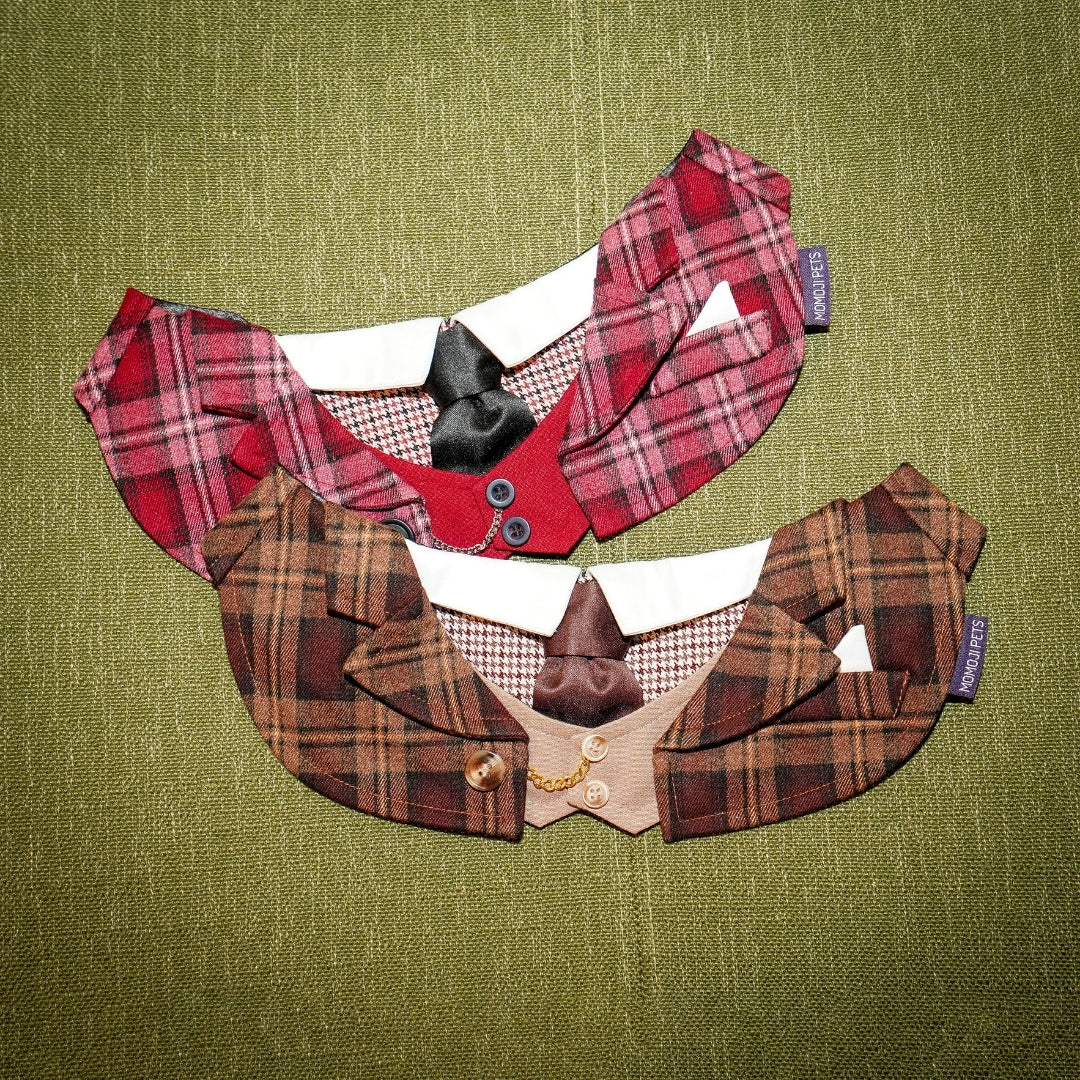 Phillip (New Colours) | Pet Bib
