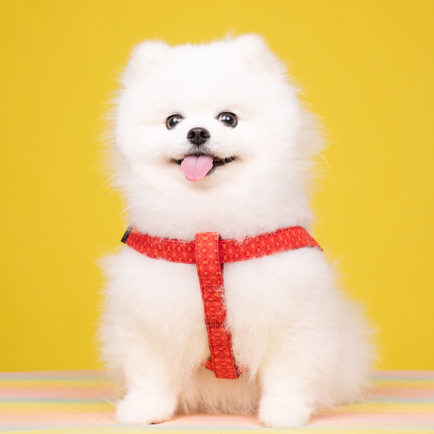 KUMAMON Harness