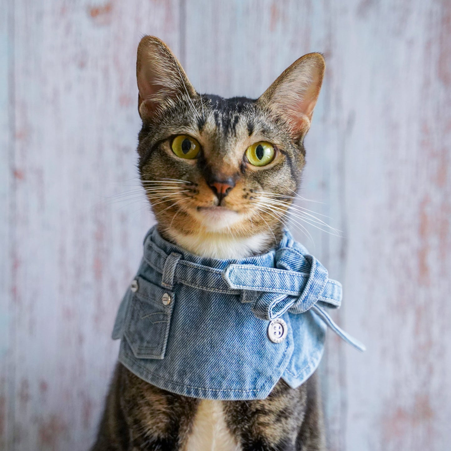 ARBUTHNOT (01-Sky Denim Blue)