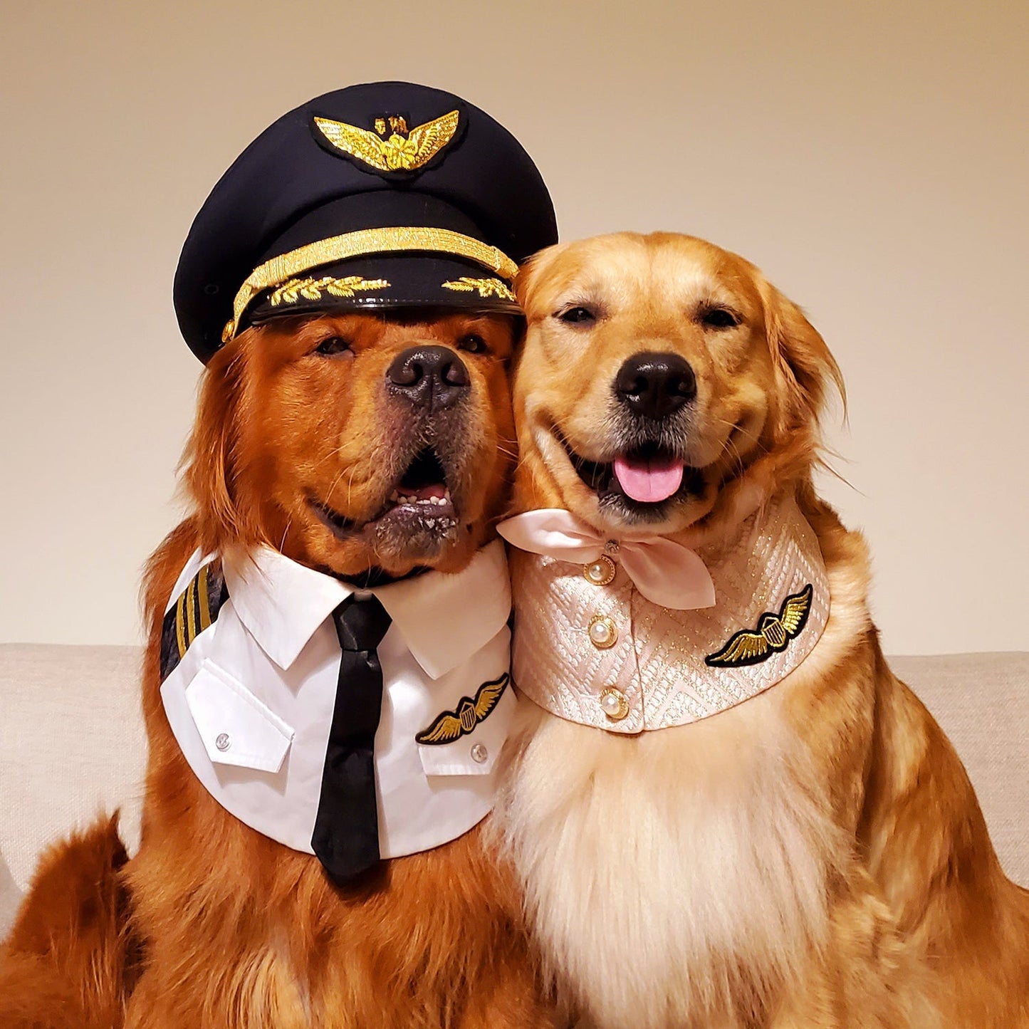 Coolmore | Pet Neckwear