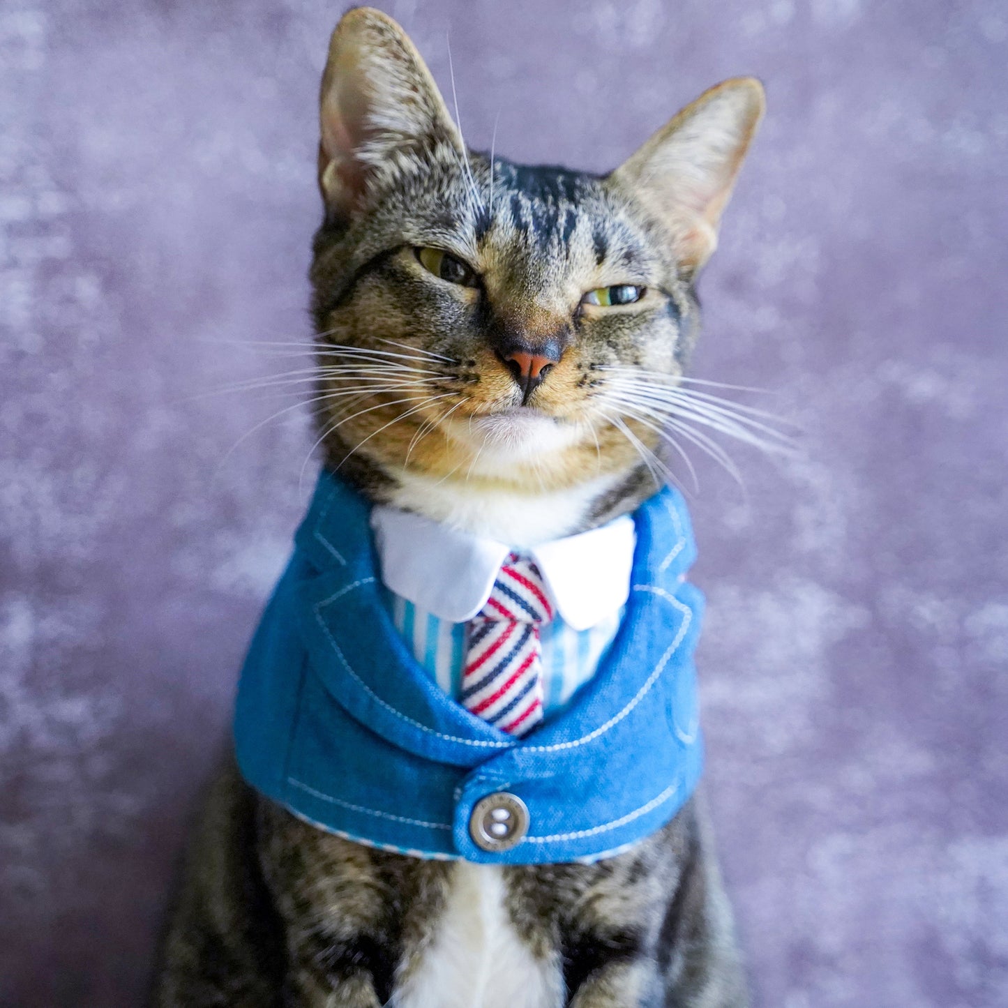 Wellington | Pet Neckwear