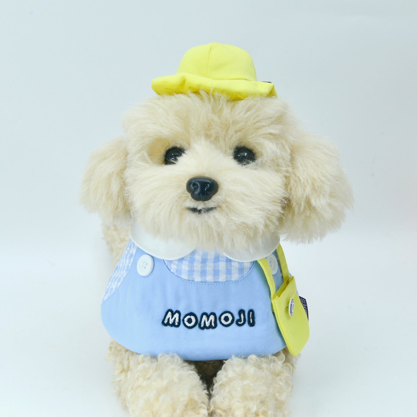 Momoji Kindergarten Boys | Pet Bib (Personalisation)