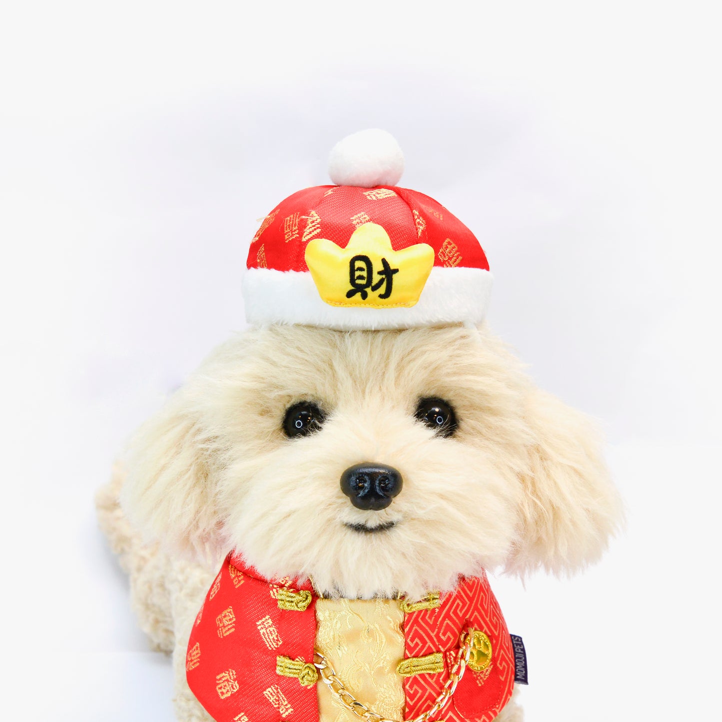 CHARLTON Pet CNY Hat