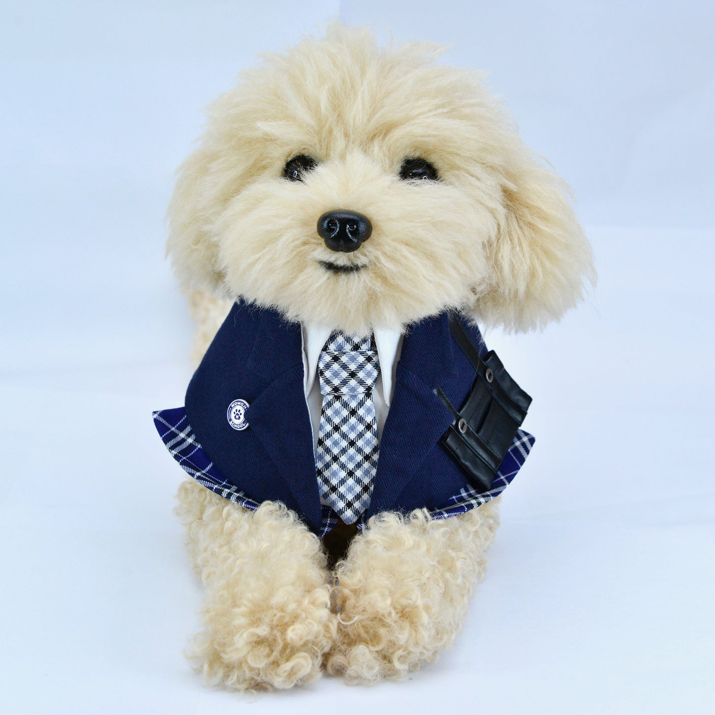 Morrison Hill Boys | Pet Neckwear