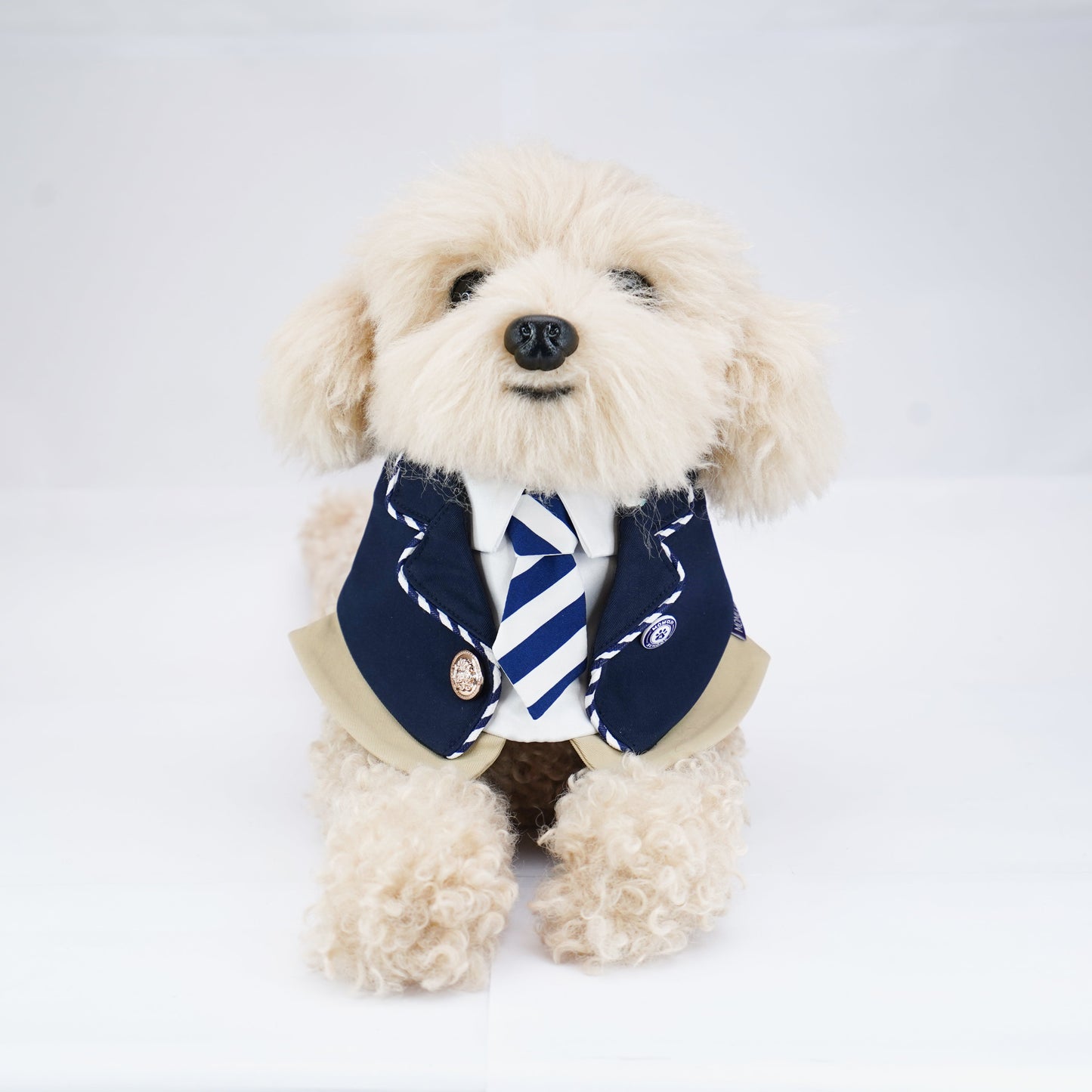 The Hairs Boy | Pet Neckwear