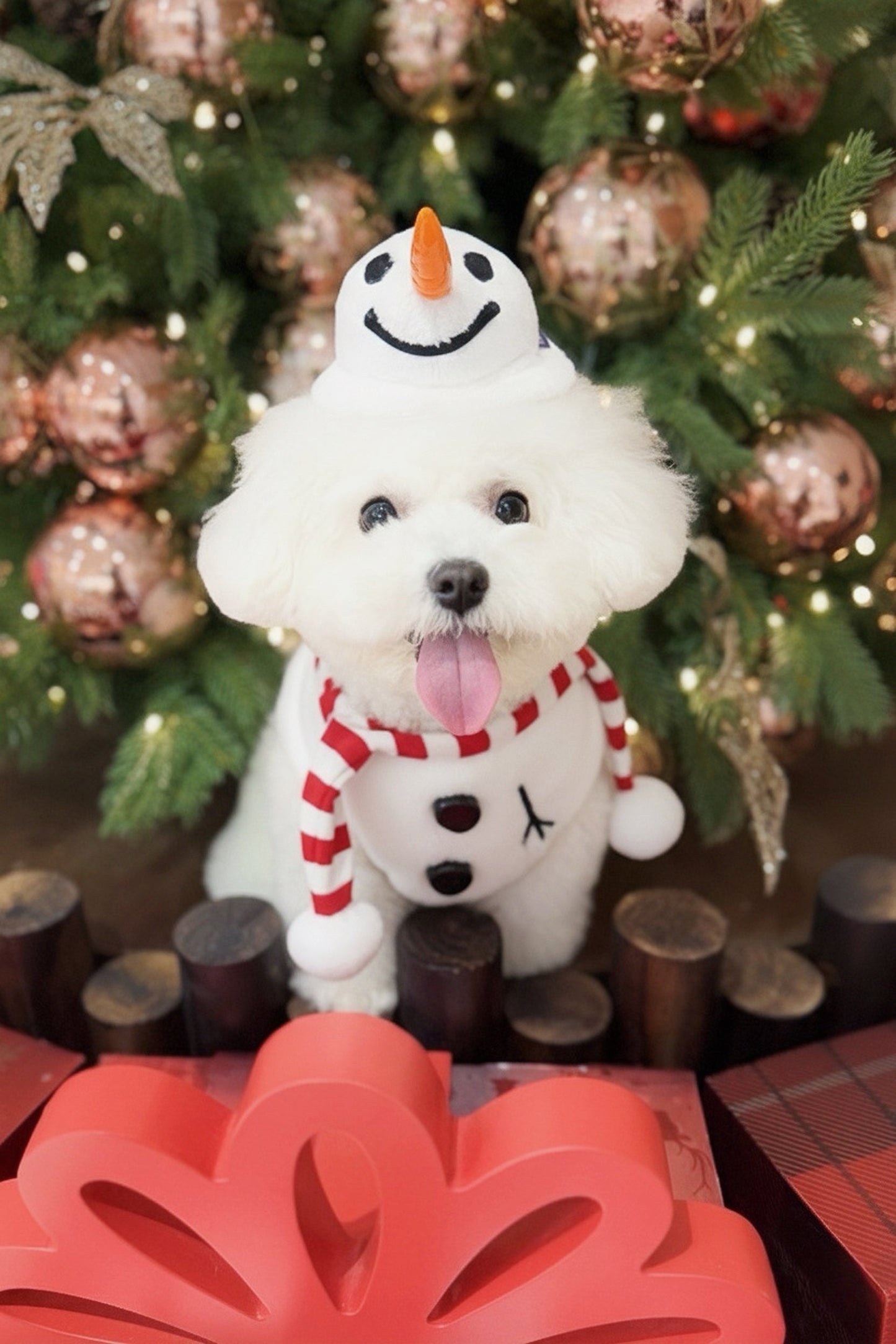 [Pre-order] Hat + Neckwear Set (Momosnow)