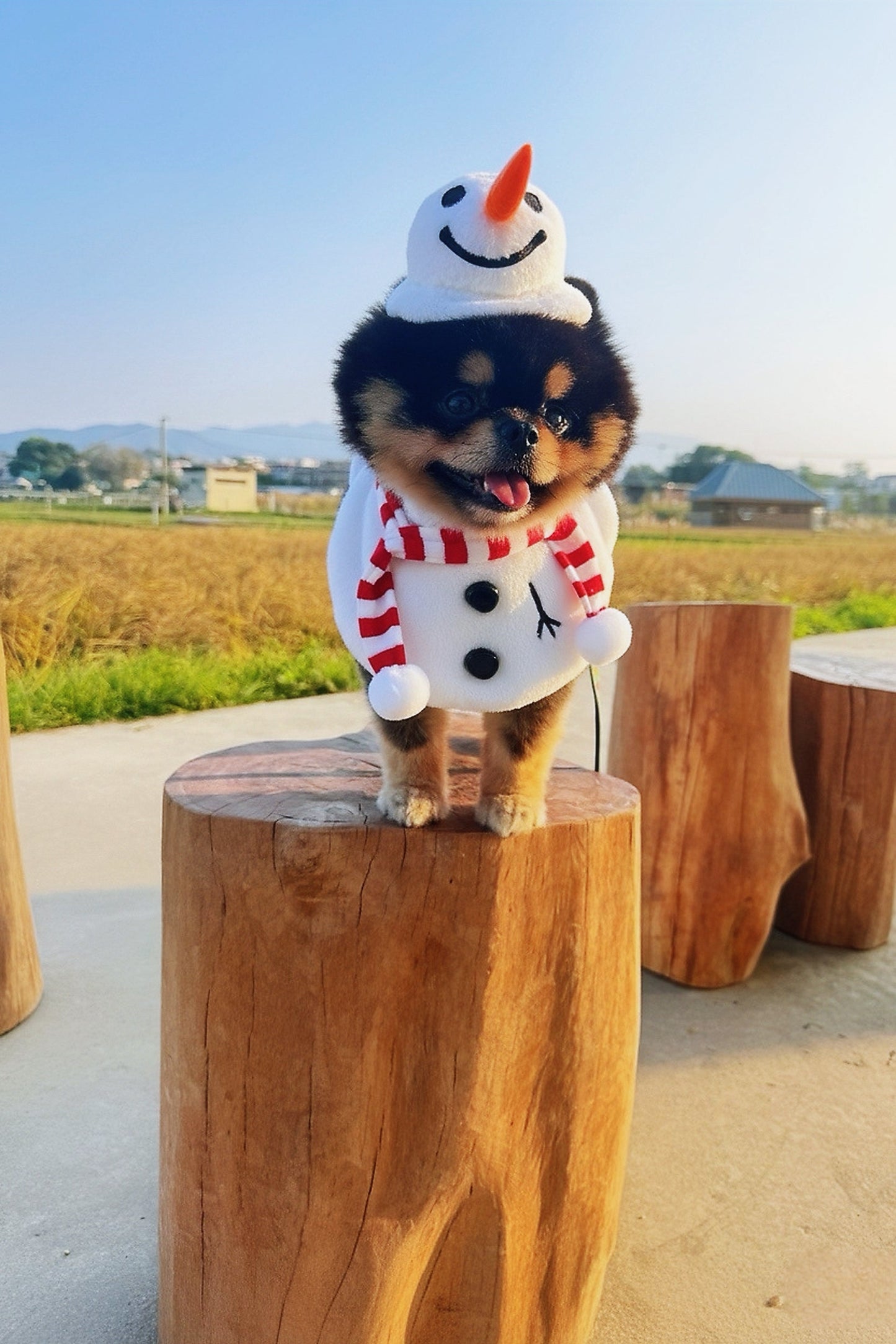 [Pre-order] Hat + Neckwear Set (Momosnow)