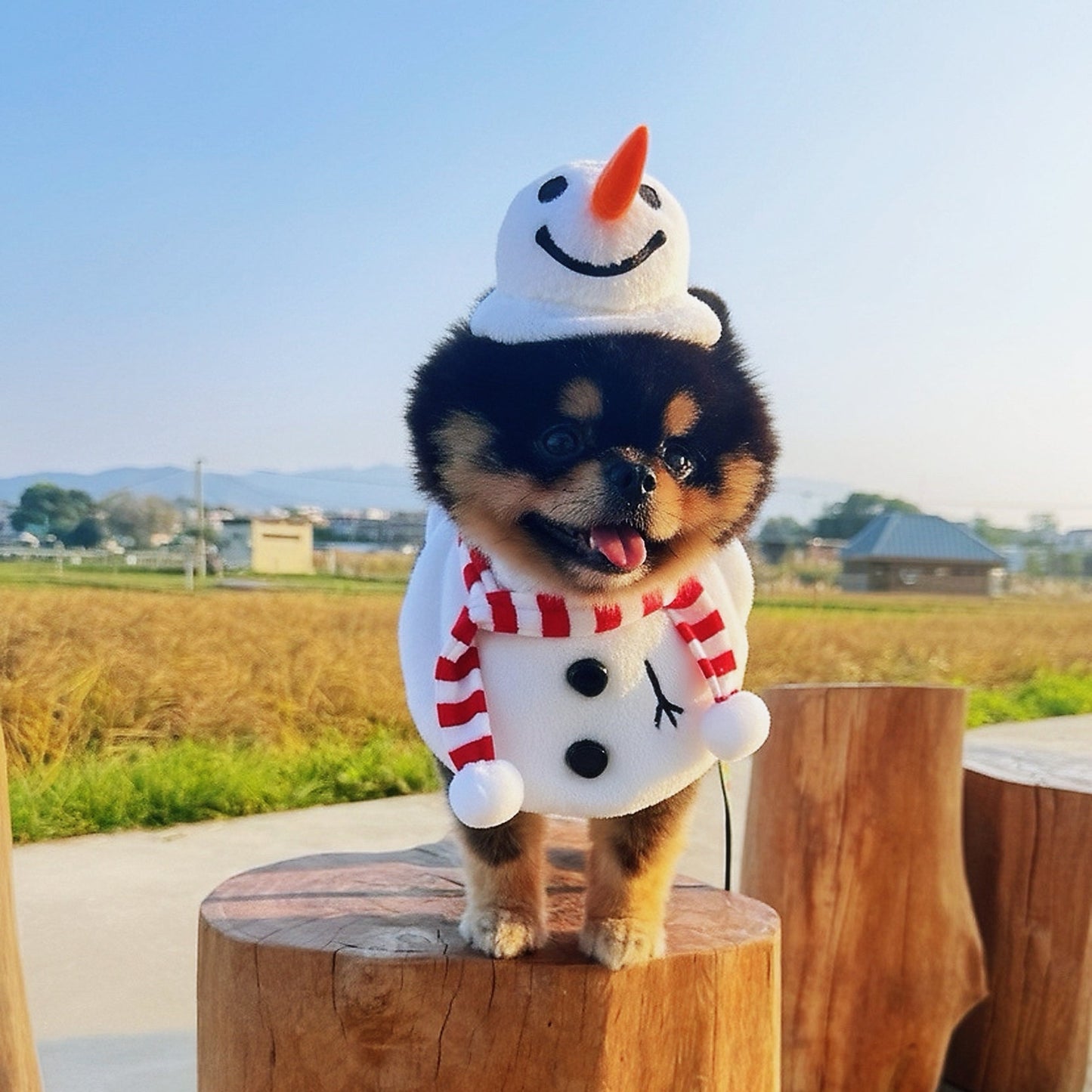 [Pre-order] Momosnow | Pet Christmas Hat