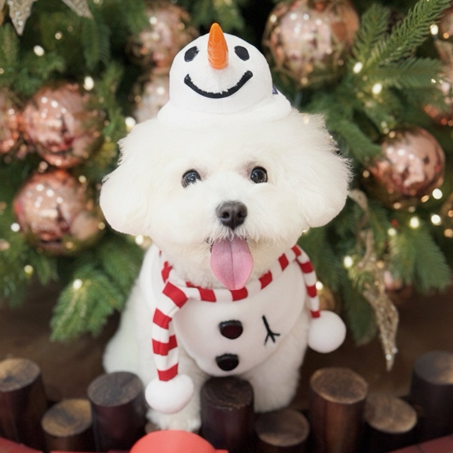 [Pre-order] Momosnow | Pet Christmas Neckwear