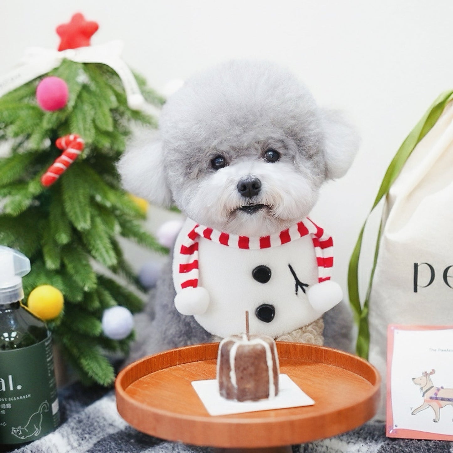 [Pre-order] Momosnow | Pet Christmas Neckwear