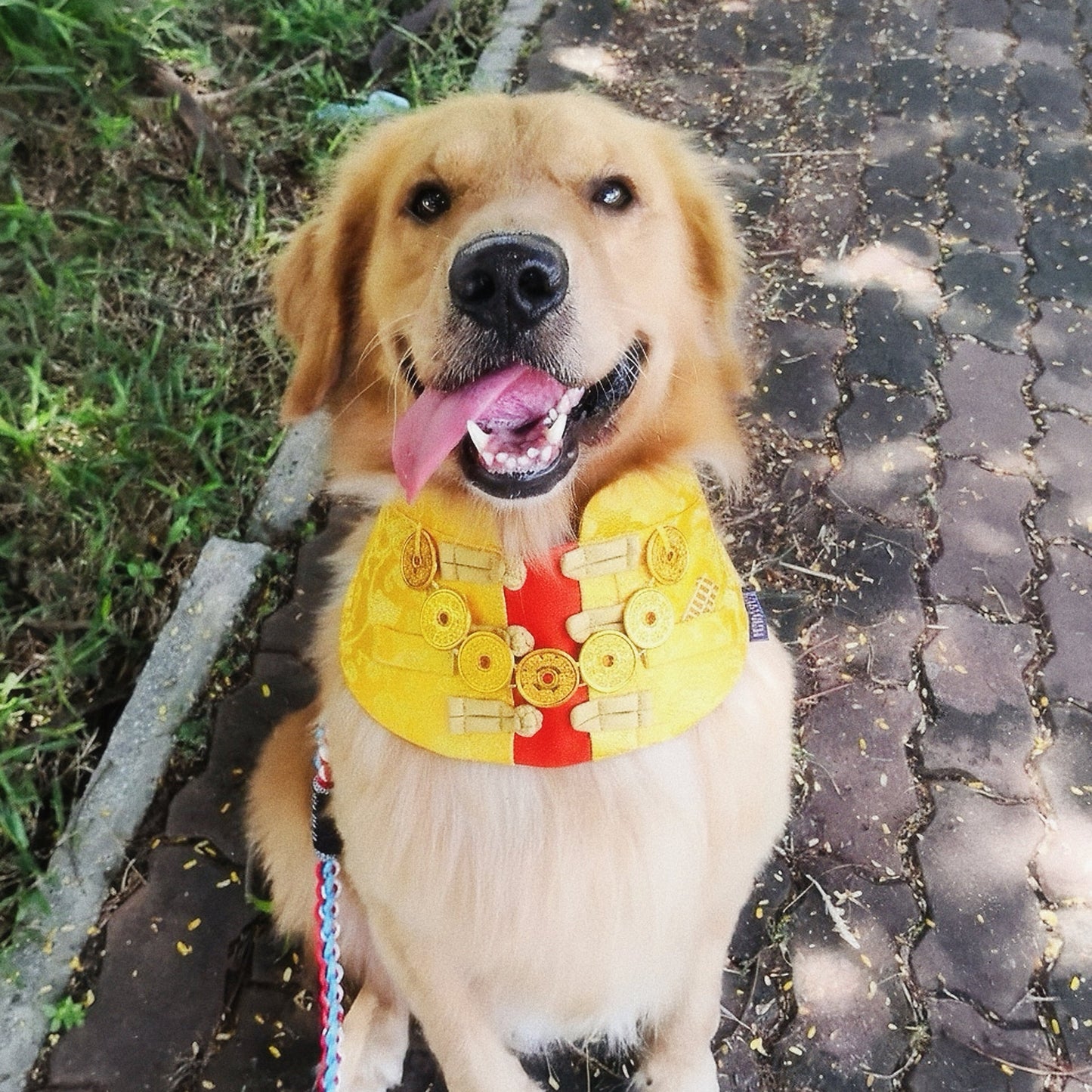 Amulet 金寶 | Pet LNY Neckwear