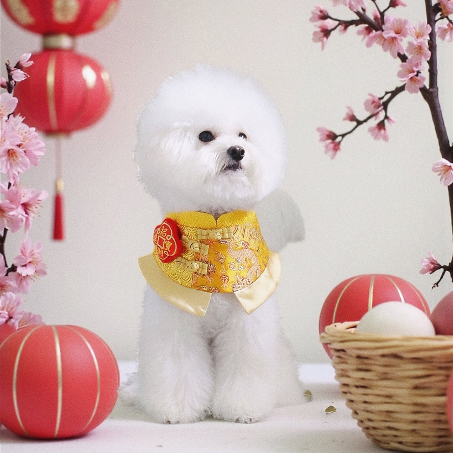 Dragon 龍騰 | Pet LNY Neckwear