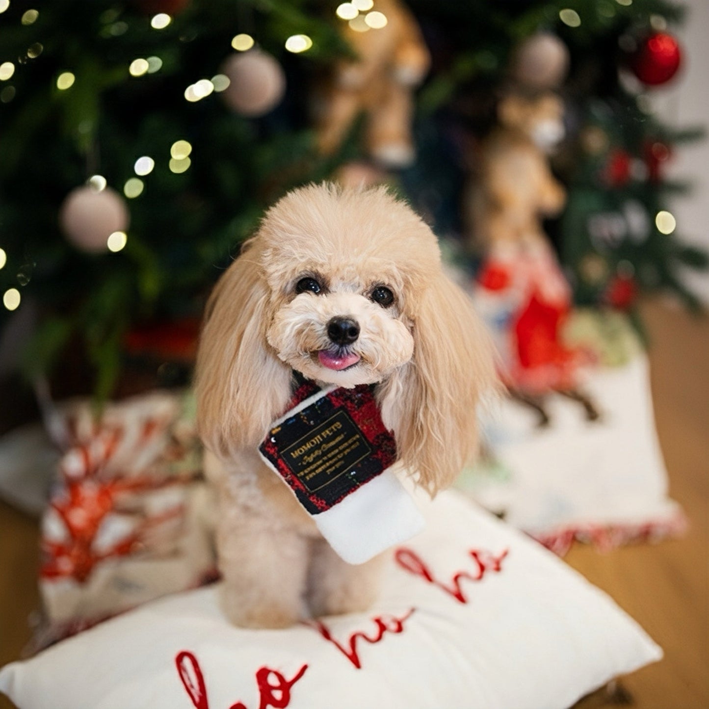 [Pre-order] Caine | Pet Christmas Neckwear