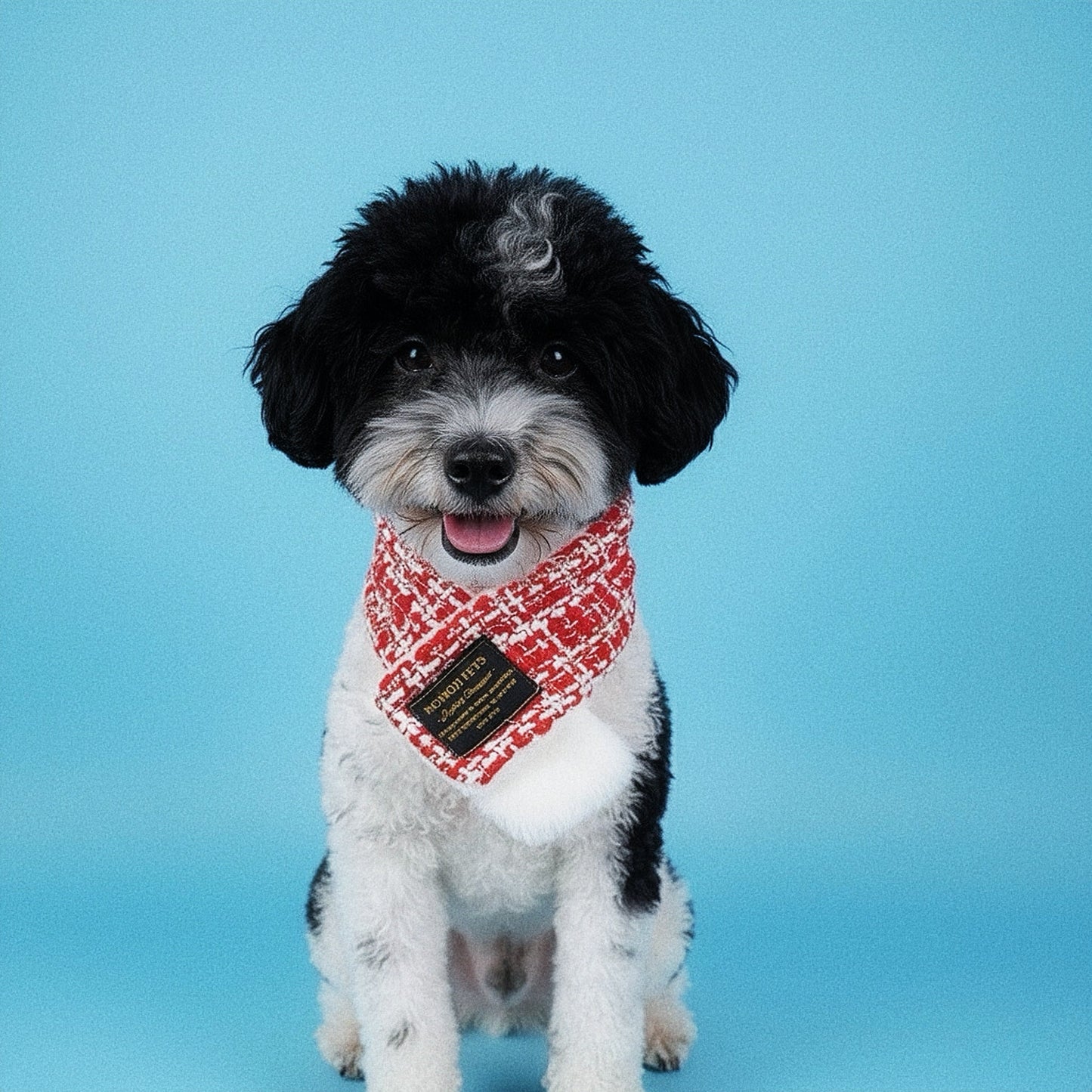 [Pre-order] Caine | Pet Christmas Neckwear