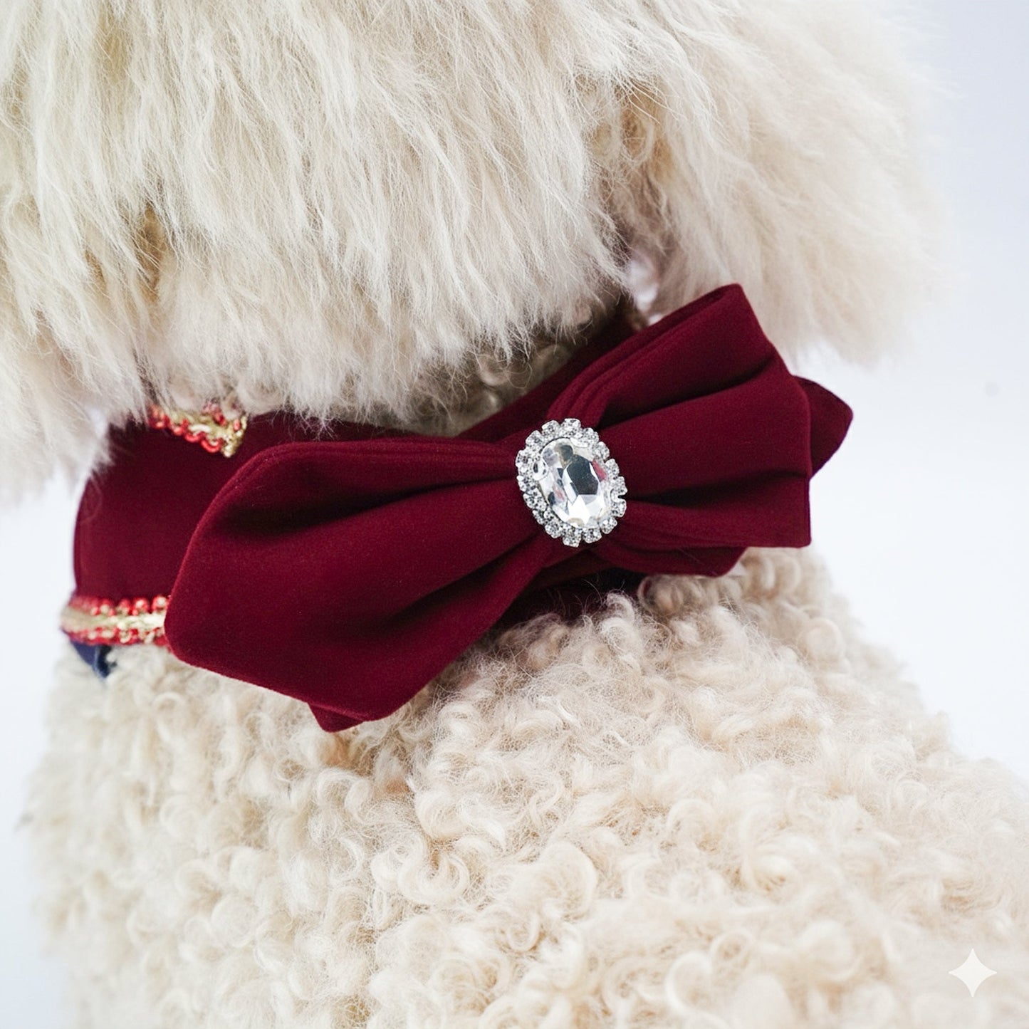 [Pre-order] Starry Night Lux | Pet Christmas Neckwear