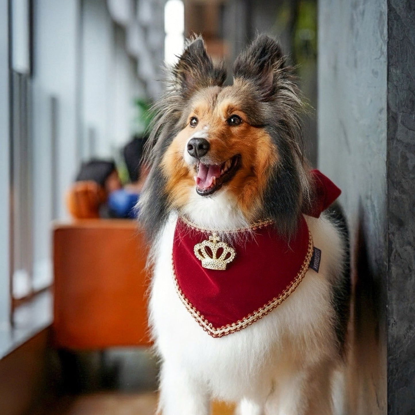 [Pre-order] Starry Night Lux | Pet Christmas Neckwear