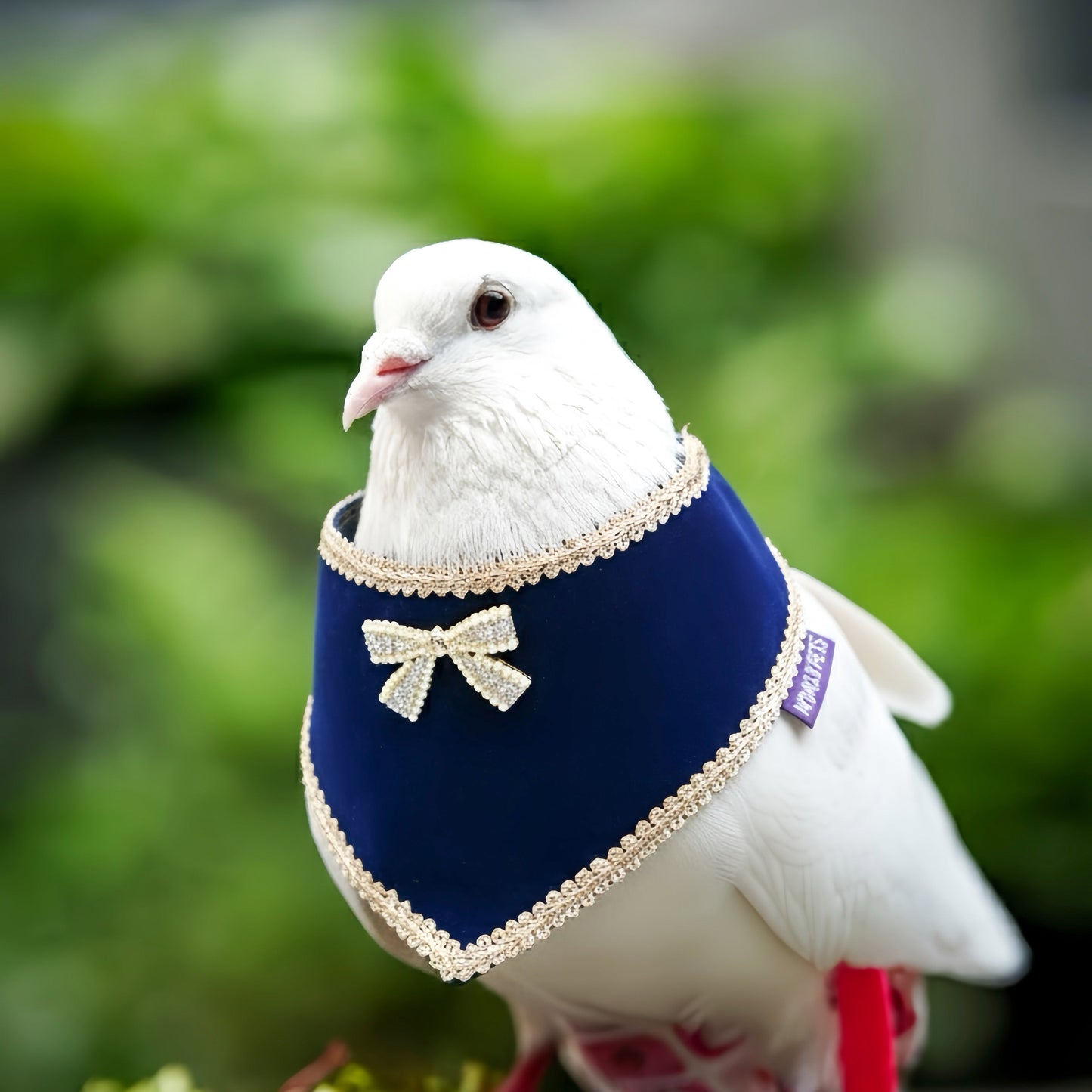 [Pre-order] Starry Night Lux | Pet Christmas Neckwear