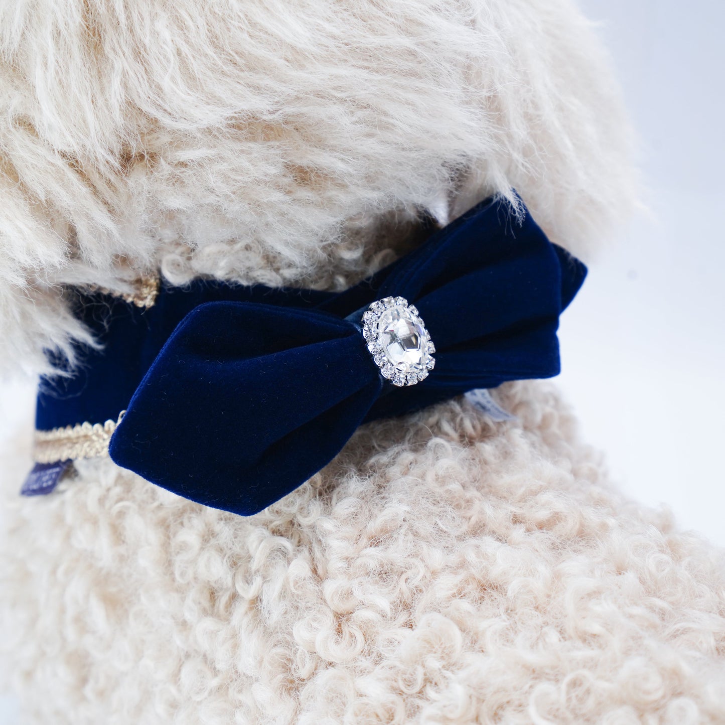[Pre-order] Starry Night Lux | Pet Christmas Neckwear