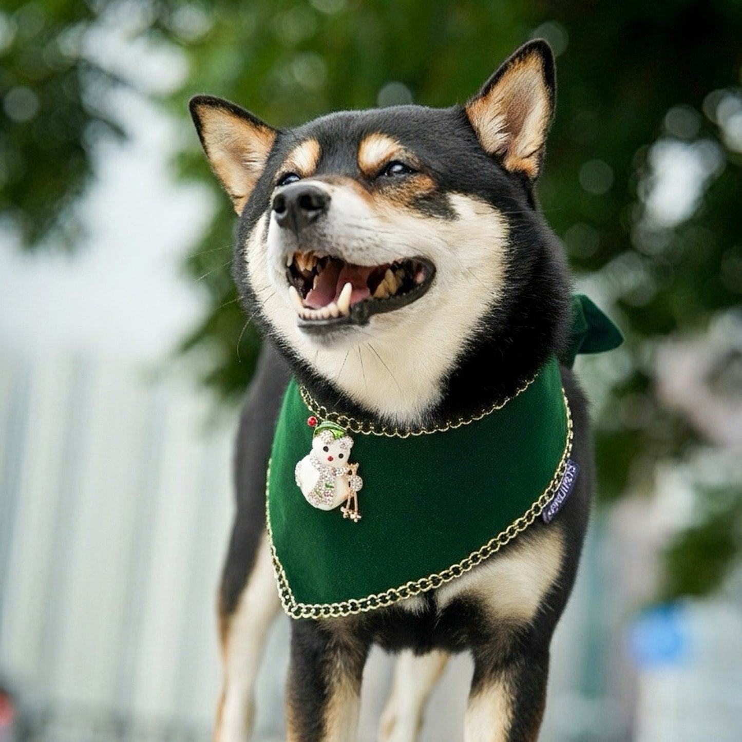 [Pre-order] Starry Night Lux | Pet Christmas Neckwear