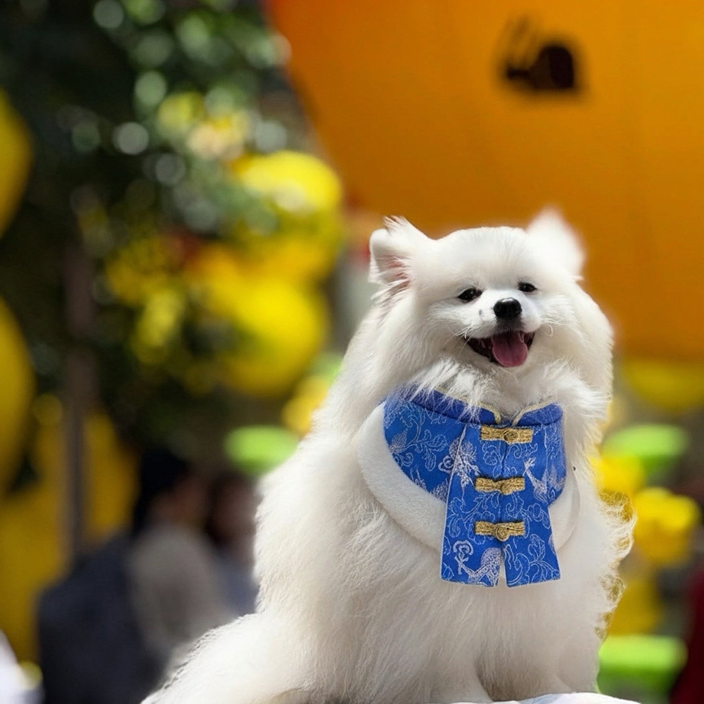 Regal 天策 | Pet LNY Neckwear