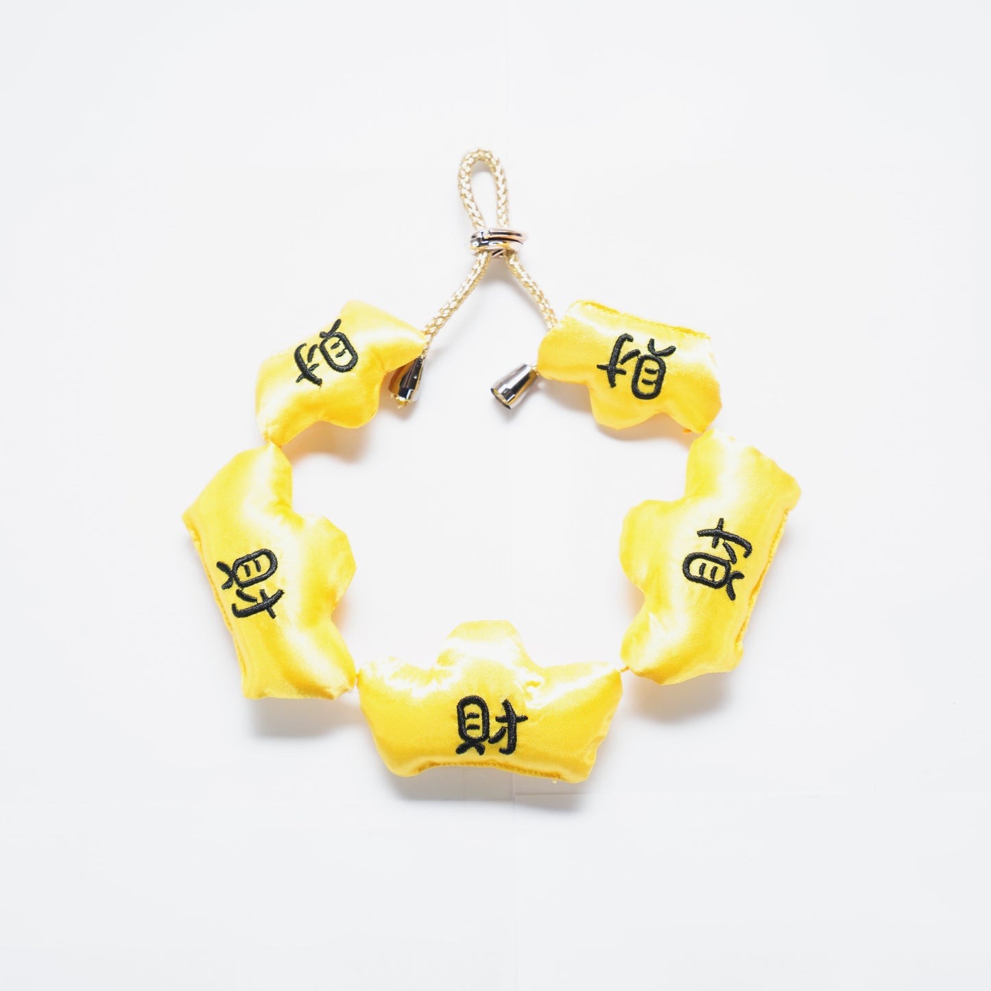 Golden Fortune String 滿財福串 | Pet LNY Neckwear