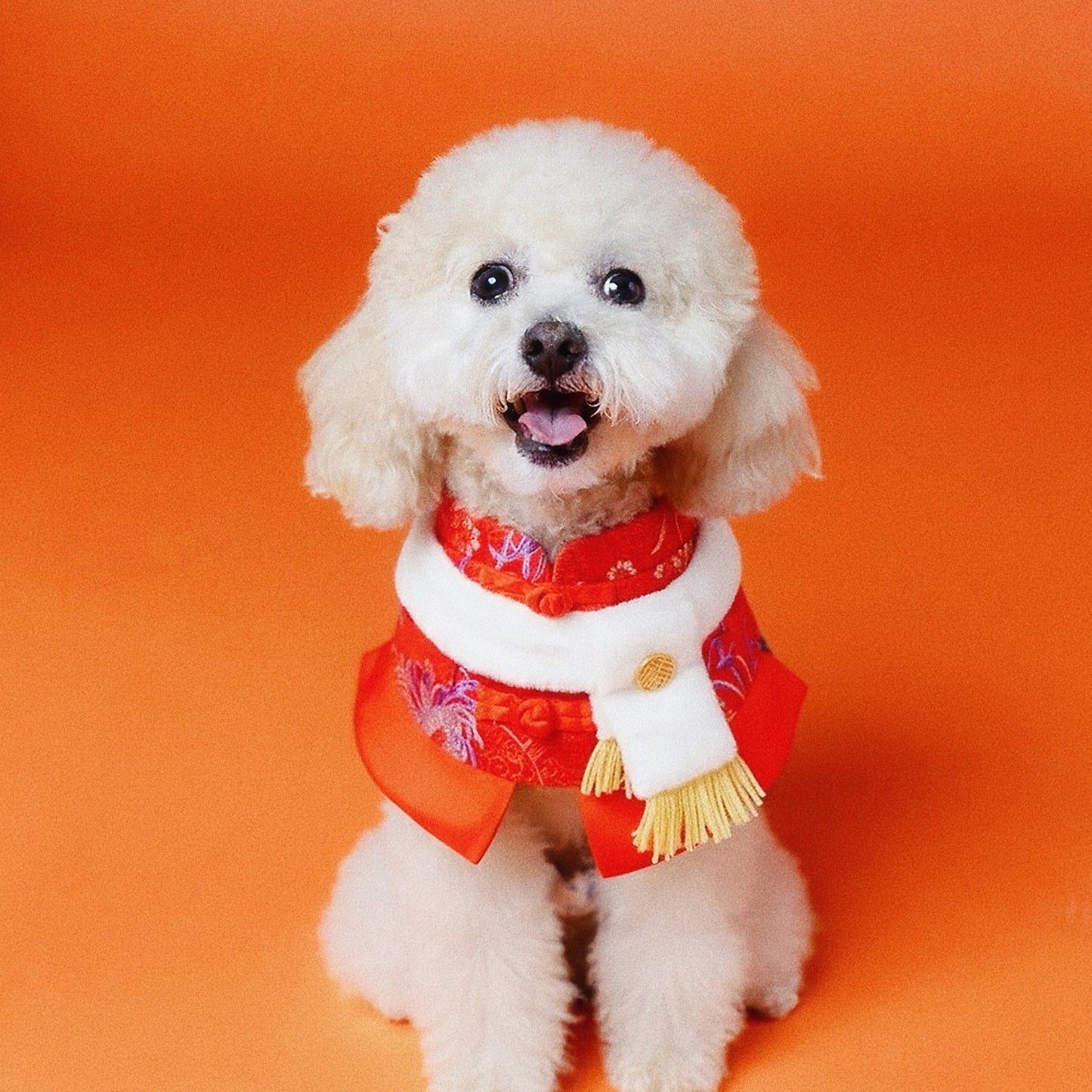 Valor 鴻運 | Pet LNY Neckwear