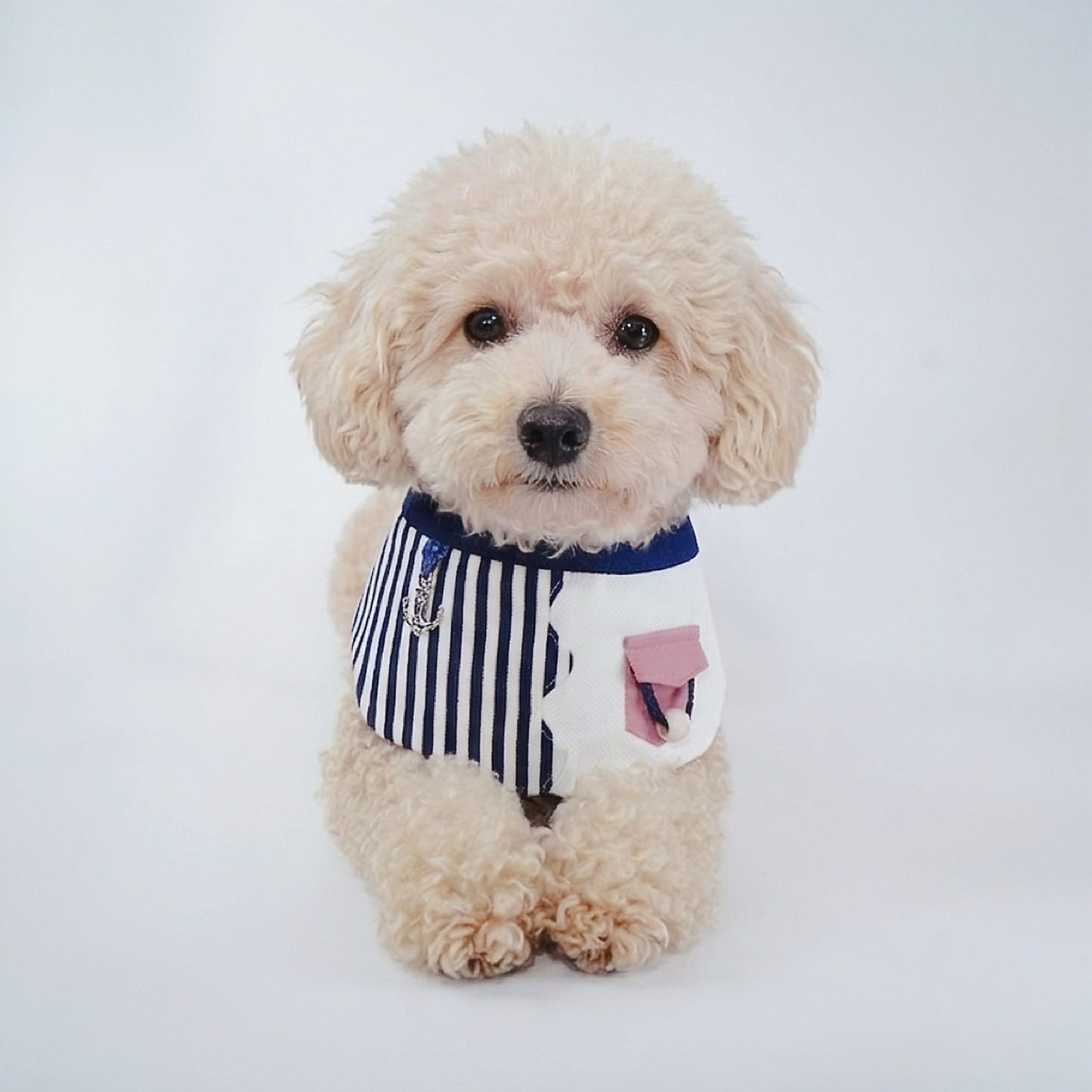 [Pre-order] Marseille (1-Breton Stripe Navy) | Pet Neckwear