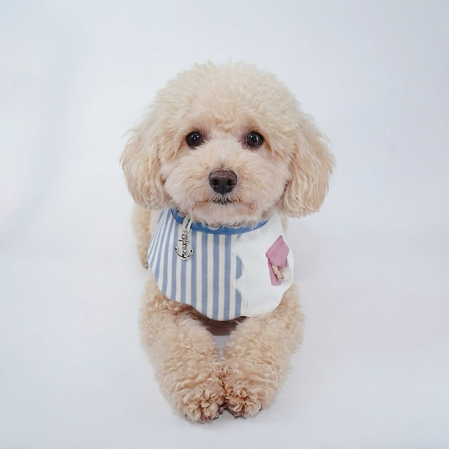 [Pre-order] Marseille (2-Breton Stripe Moonstone) | Pet Neckwear