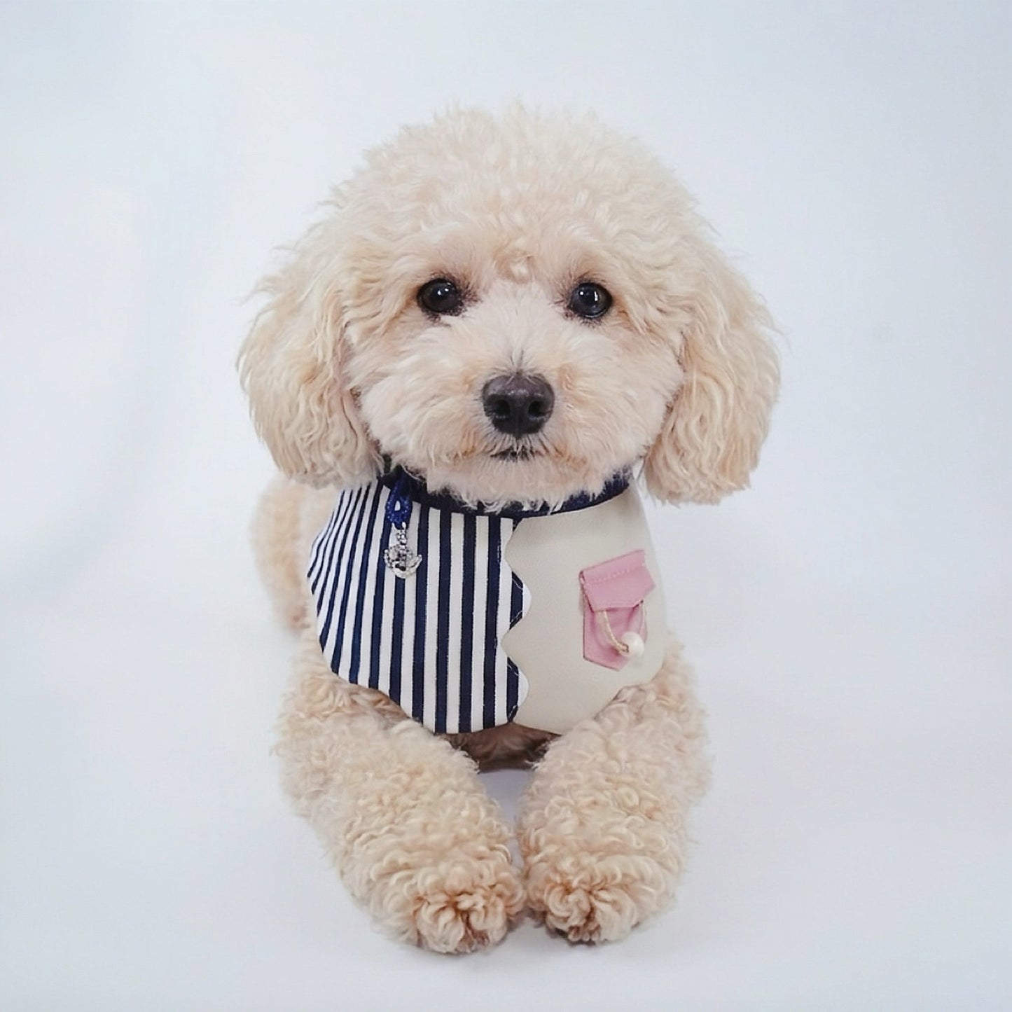 [Pre-order] Marseille (3-Breton Seashell) | Pet Neckwear