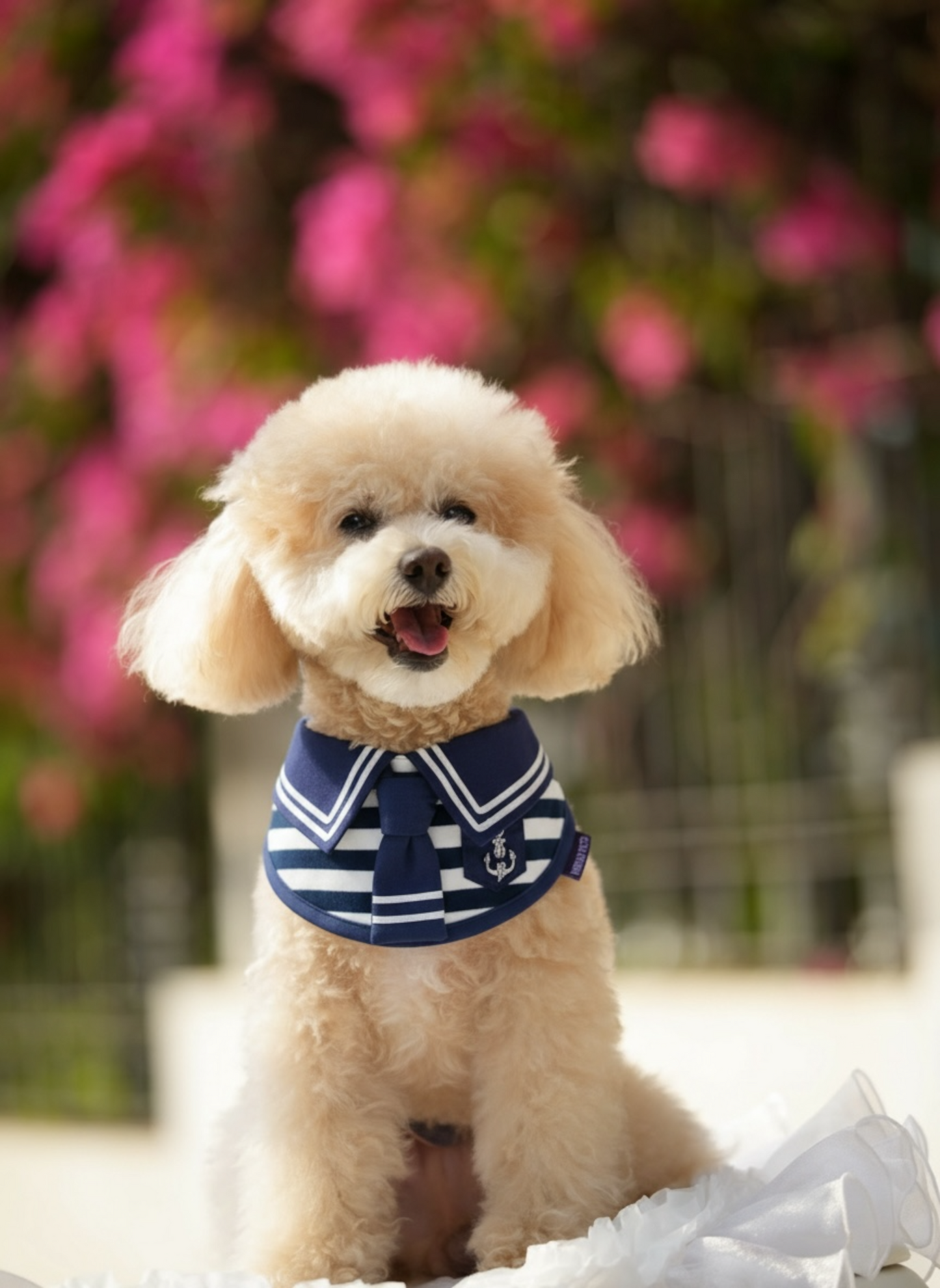 [Pre-order] Santiano (1-Heritage Stripe Navy) | Pet Neckwear