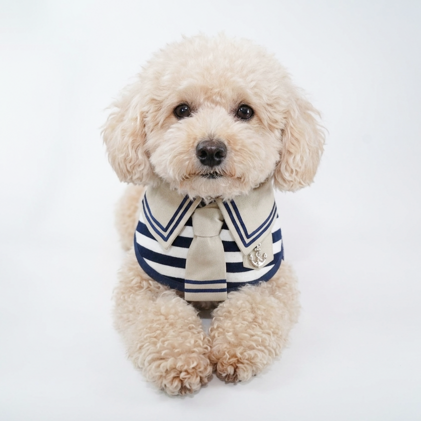 [Pre-order] Santiano (2-Sandstone & Navy) | Pet Neckwear